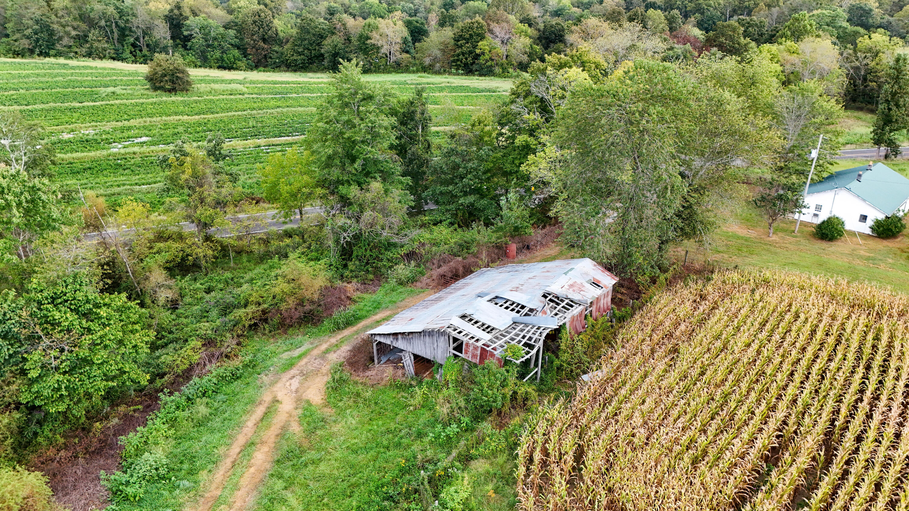 11785 Mcwhorter Road Property Photo 9