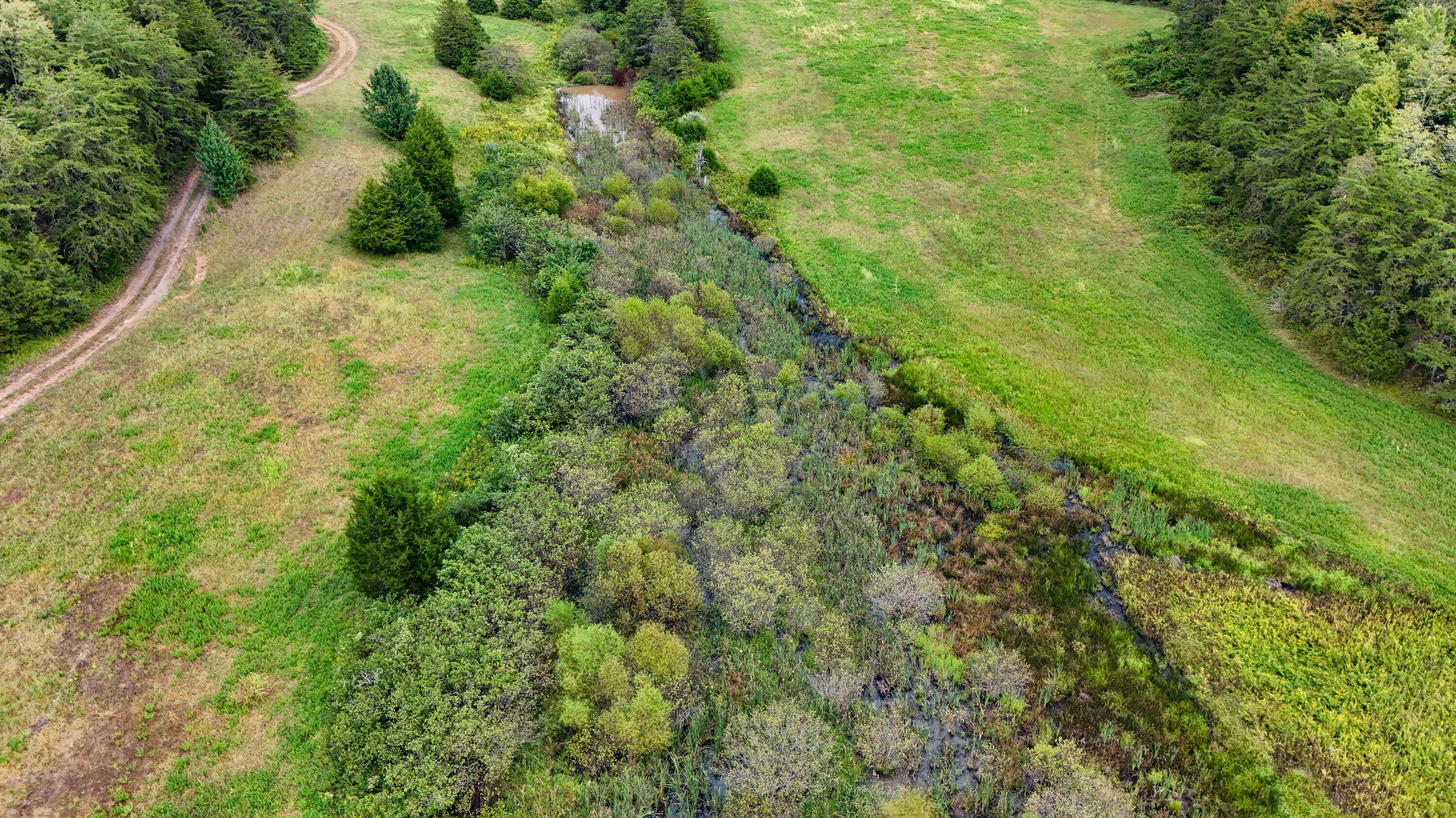 11785 Mcwhorter Road Property Photo 13