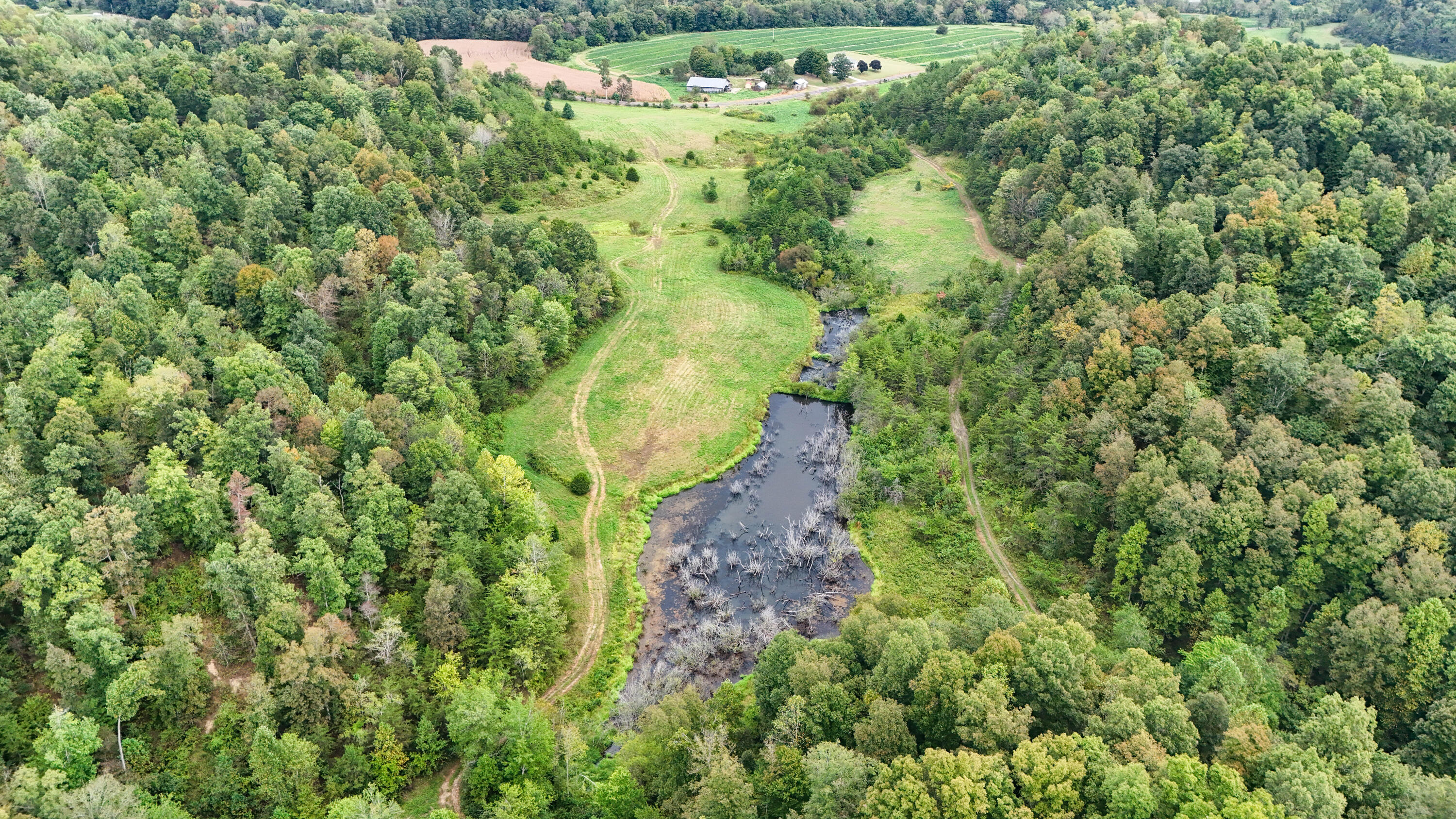 11785 Mcwhorter Road Property Photo 14
