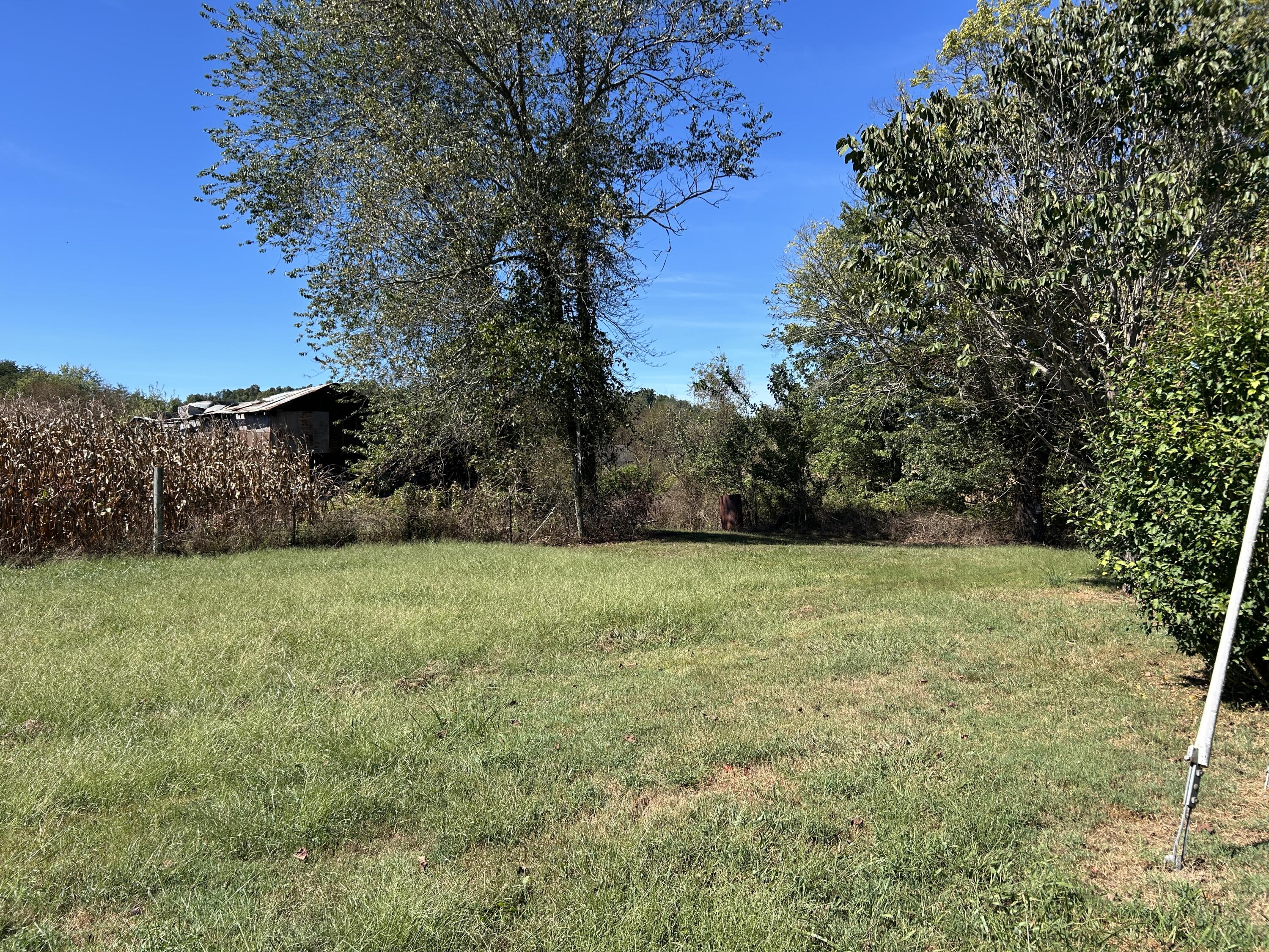 11785 Mcwhorter Road Property Photo 17
