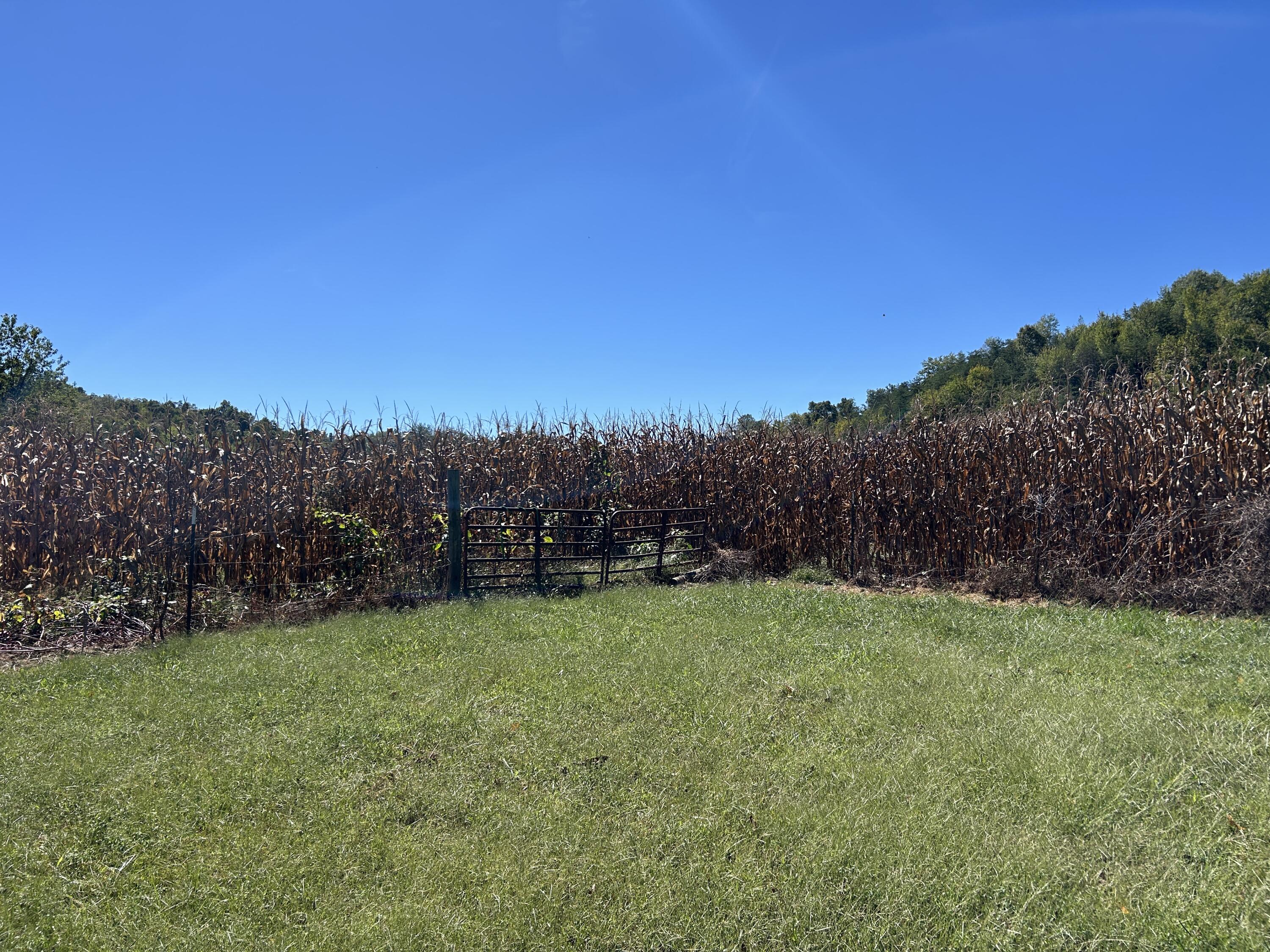 11785 Mcwhorter Road Property Photo 18