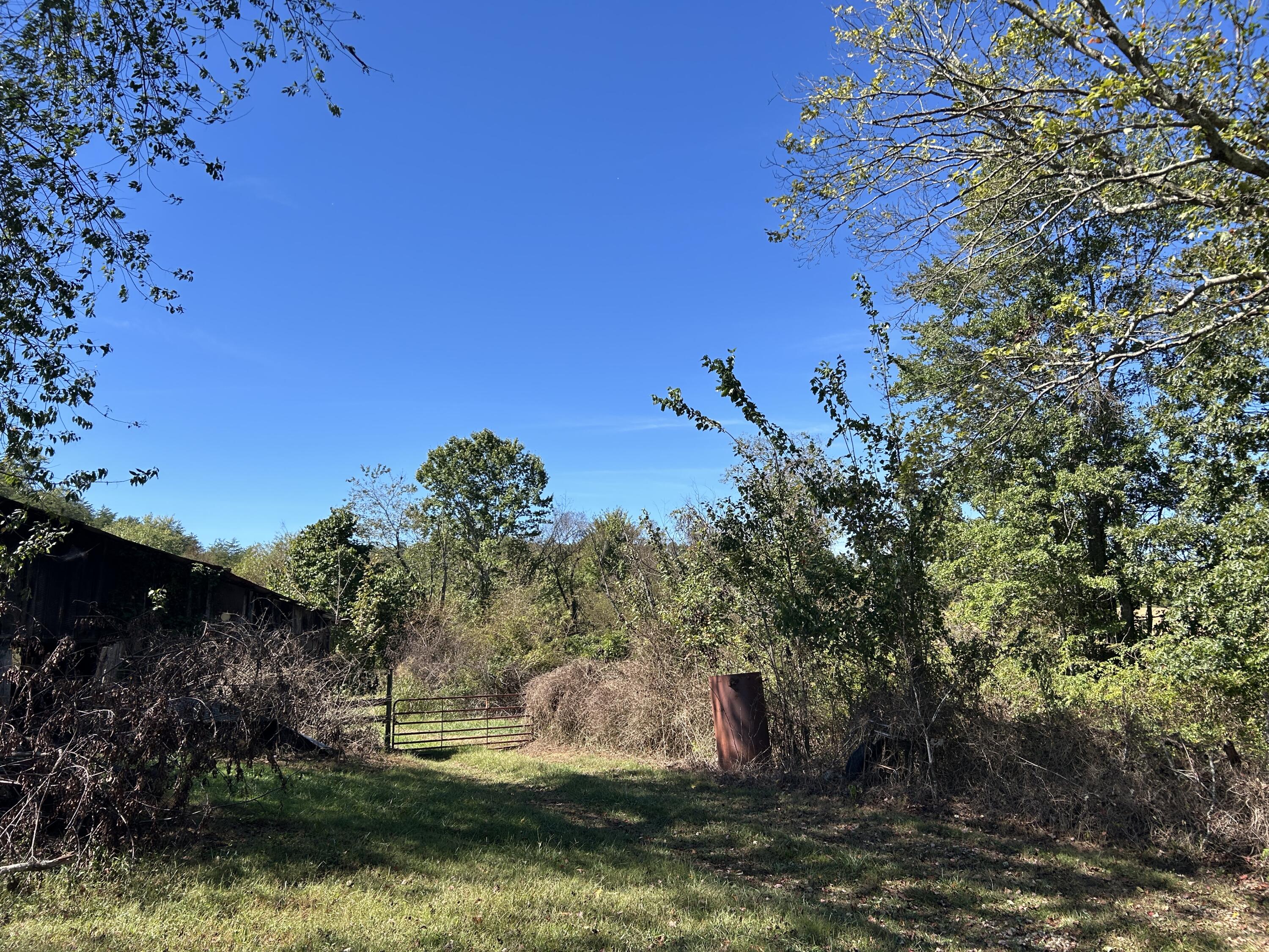 11785 Mcwhorter Road Property Photo 19