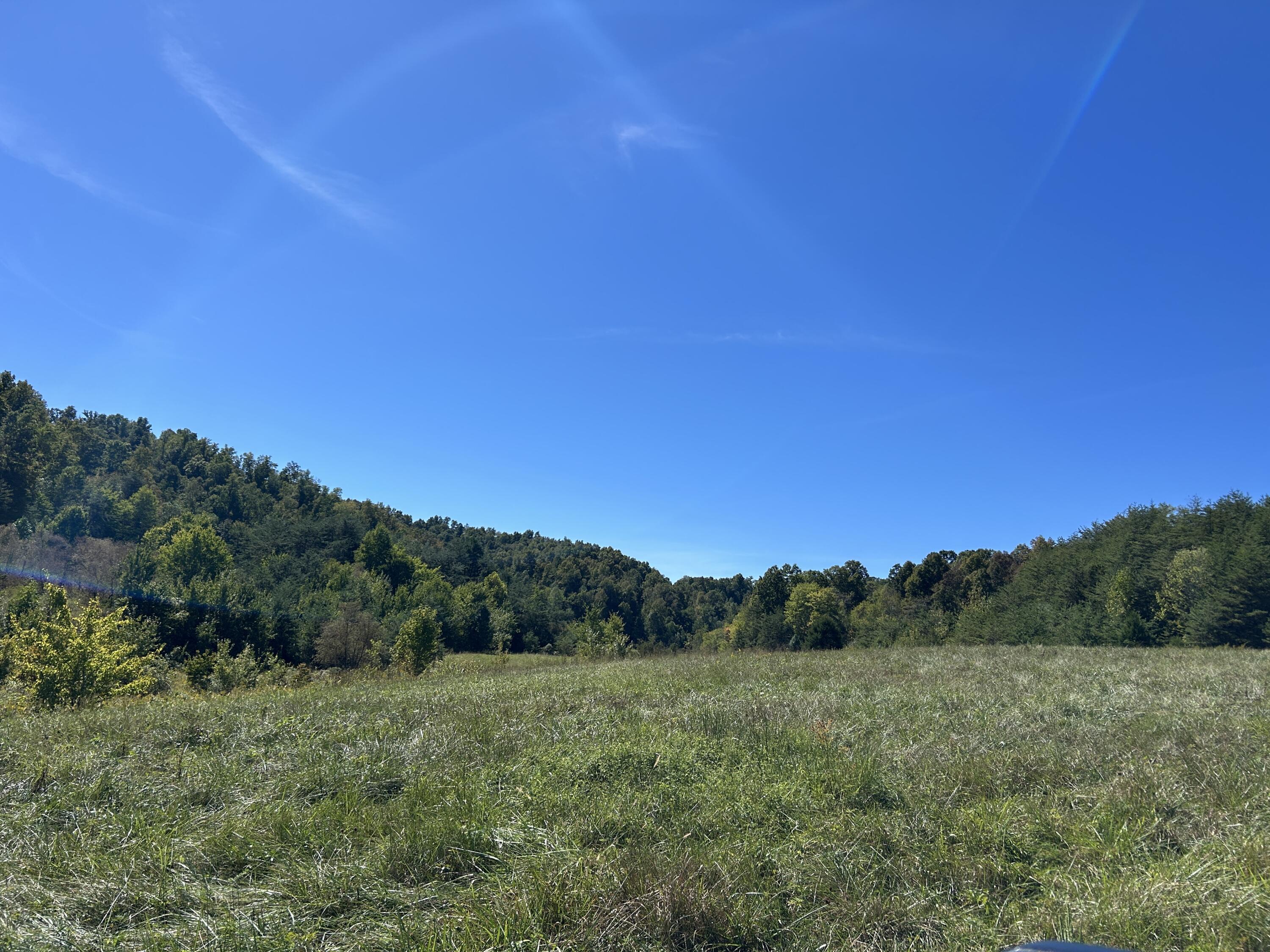 11785 Mcwhorter Road Property Photo 21