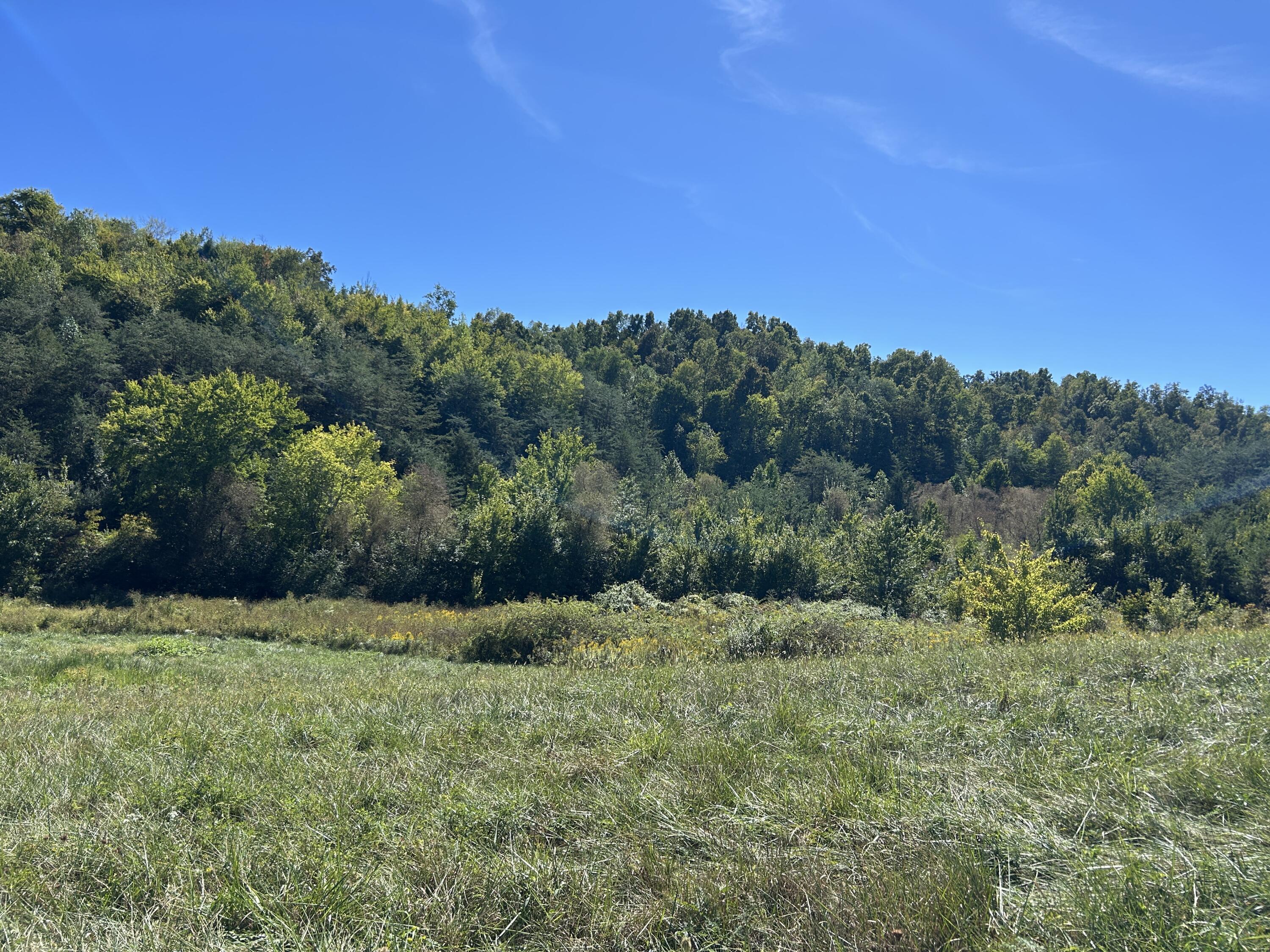 11785 Mcwhorter Road Property Photo 22