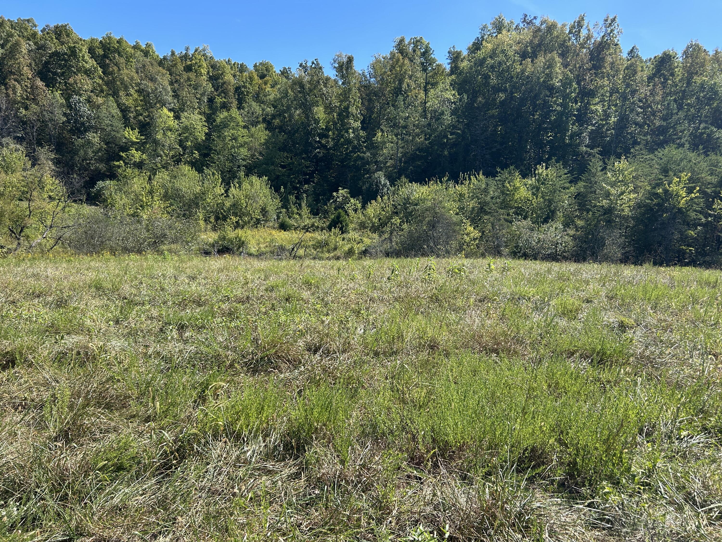 11785 Mcwhorter Road Property Photo 23