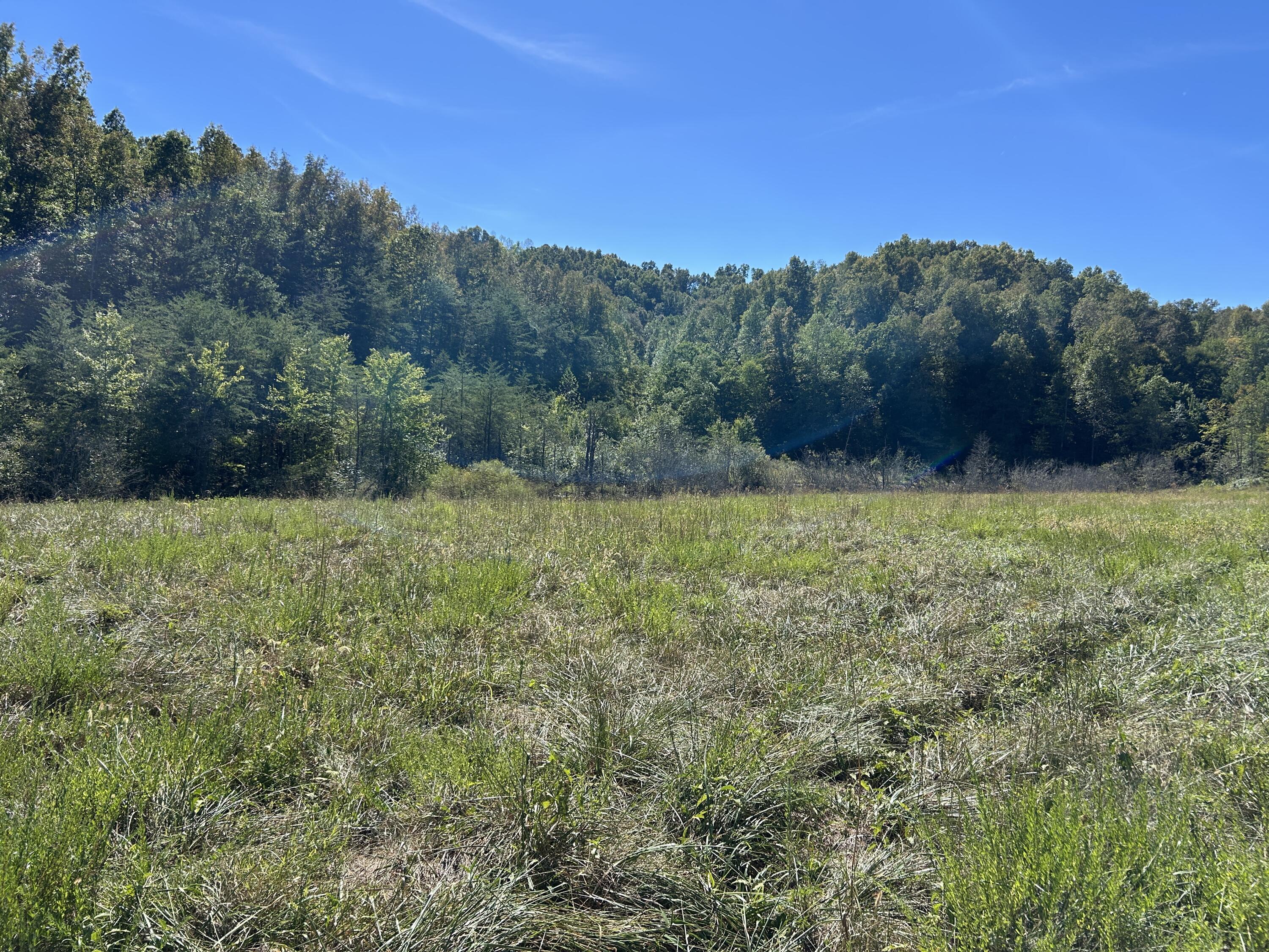 11785 Mcwhorter Road Property Photo 24