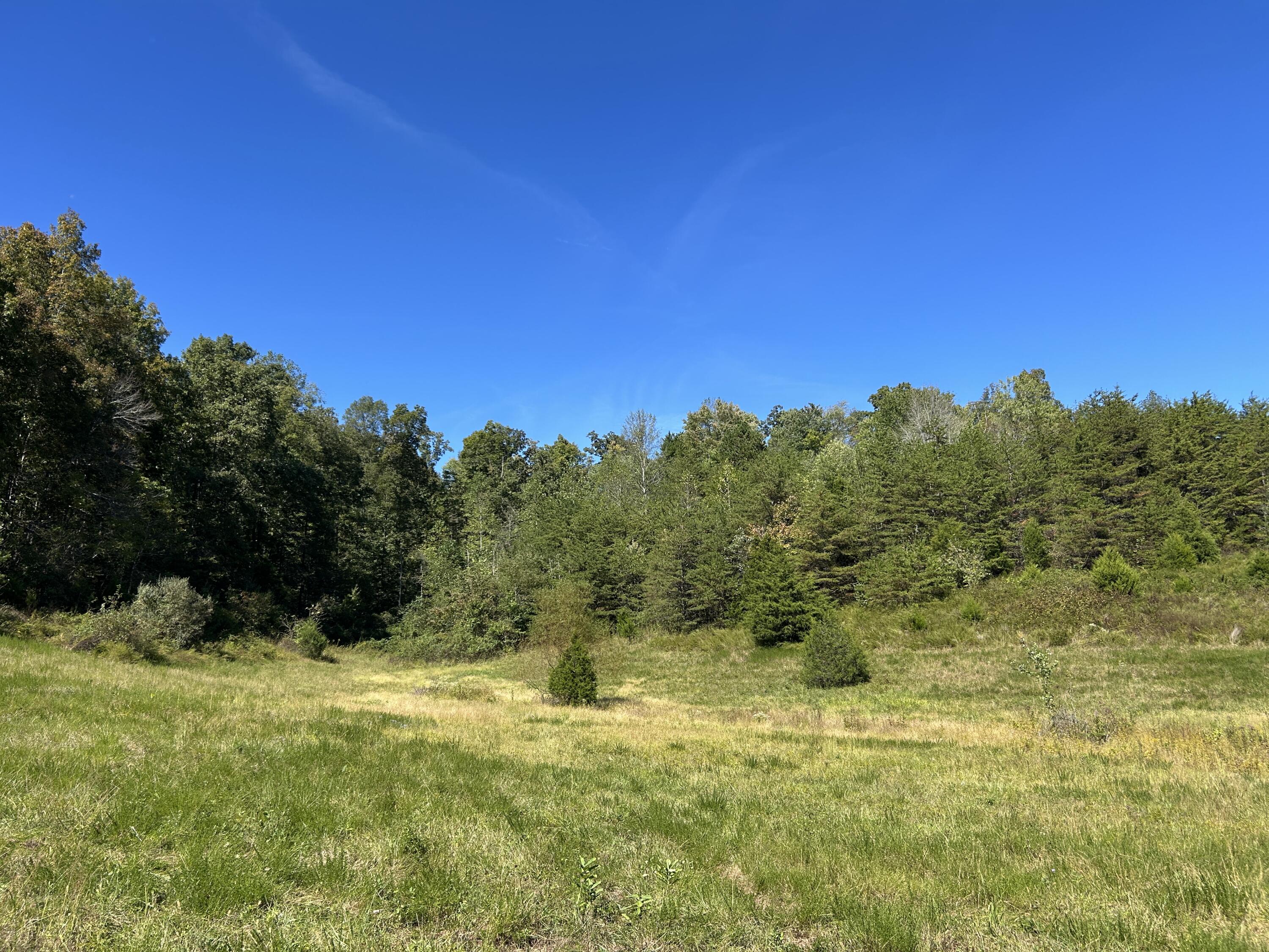 11785 Mcwhorter Road Property Photo 25