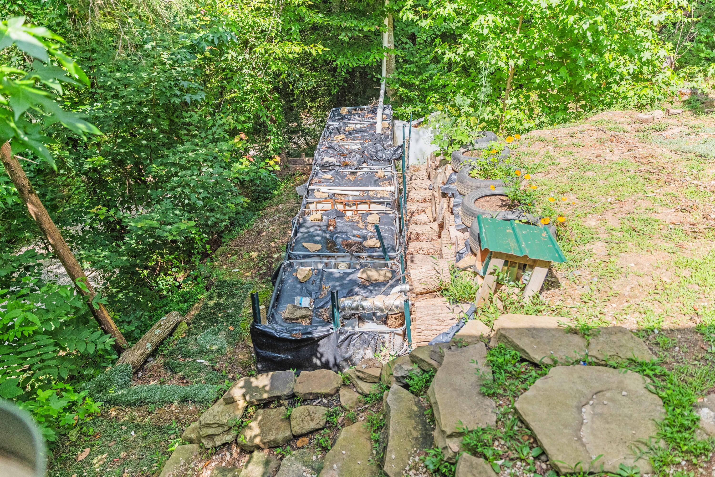 3815 Newfound Road Property Photo 34