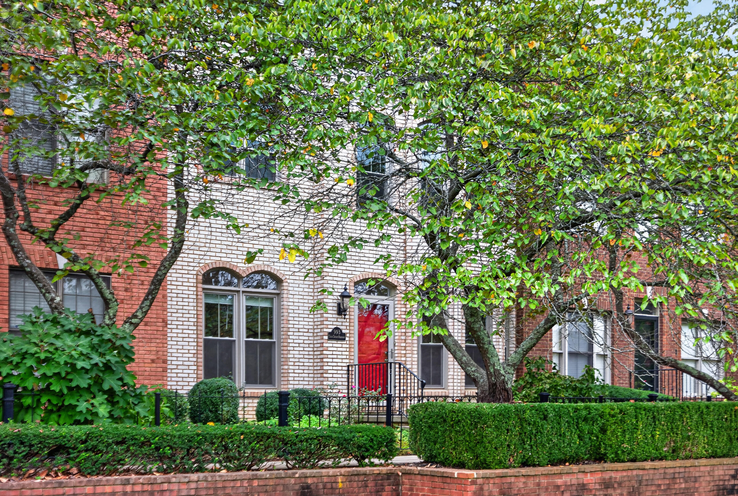 993 Star Shoot Parkway Property Photo 3