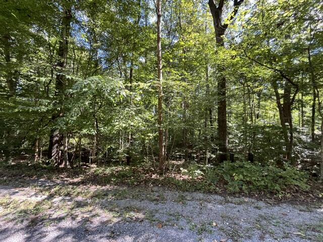 054 Forest Circle Lots 54 & 137 Circle Property Photo 7