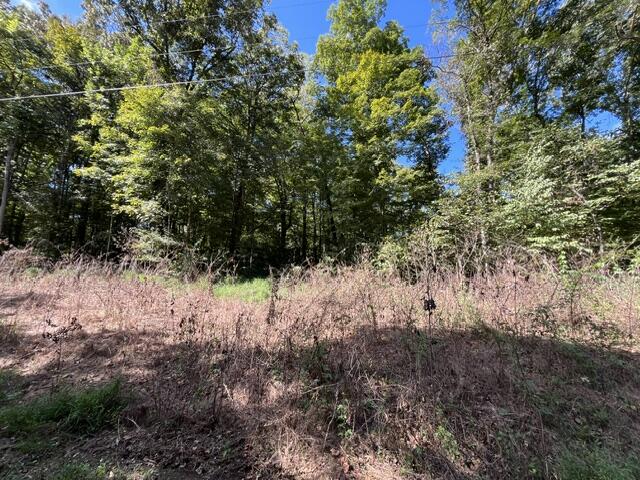 054 Forest Circle Lots 54 & 137 Circle Property Photo 9