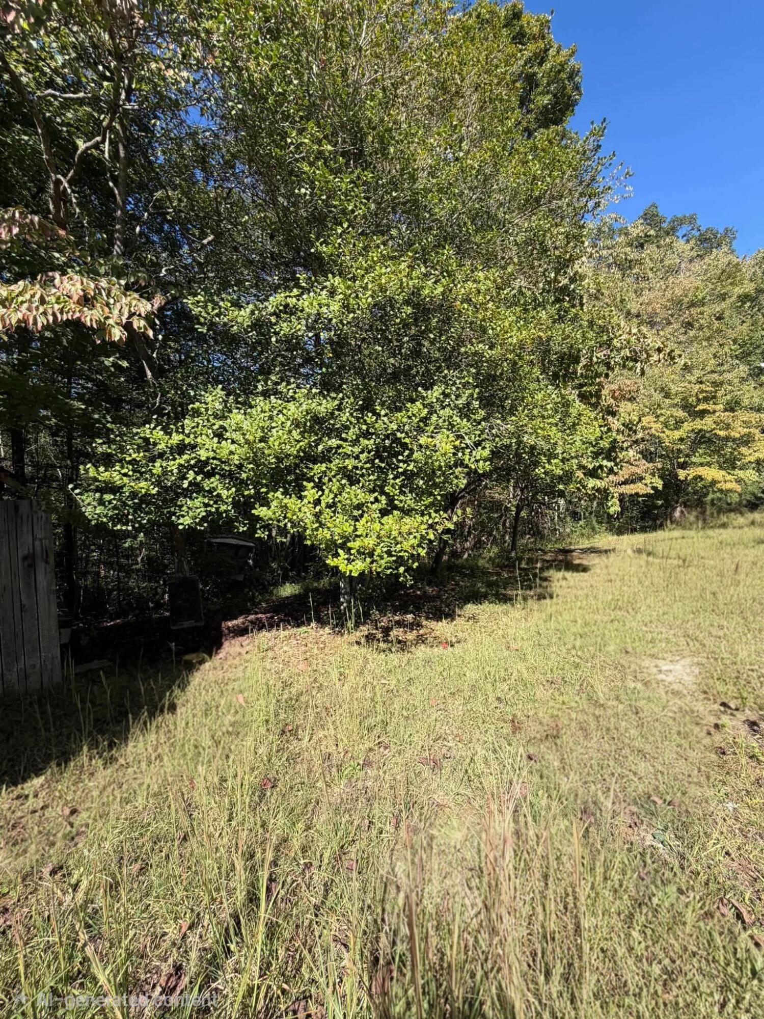 110 Indian Camp Trail Property Photo 21