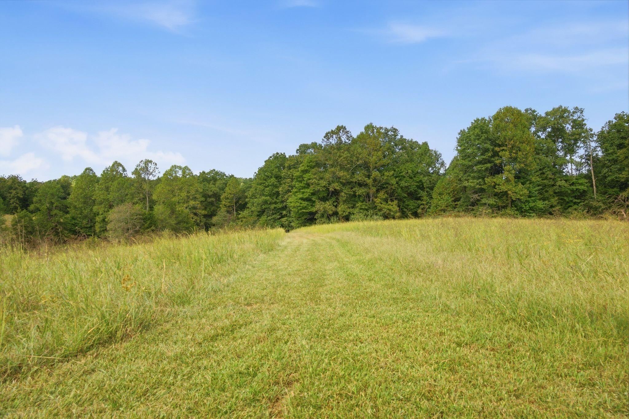 5049 Highway 2017 Property Photo 58