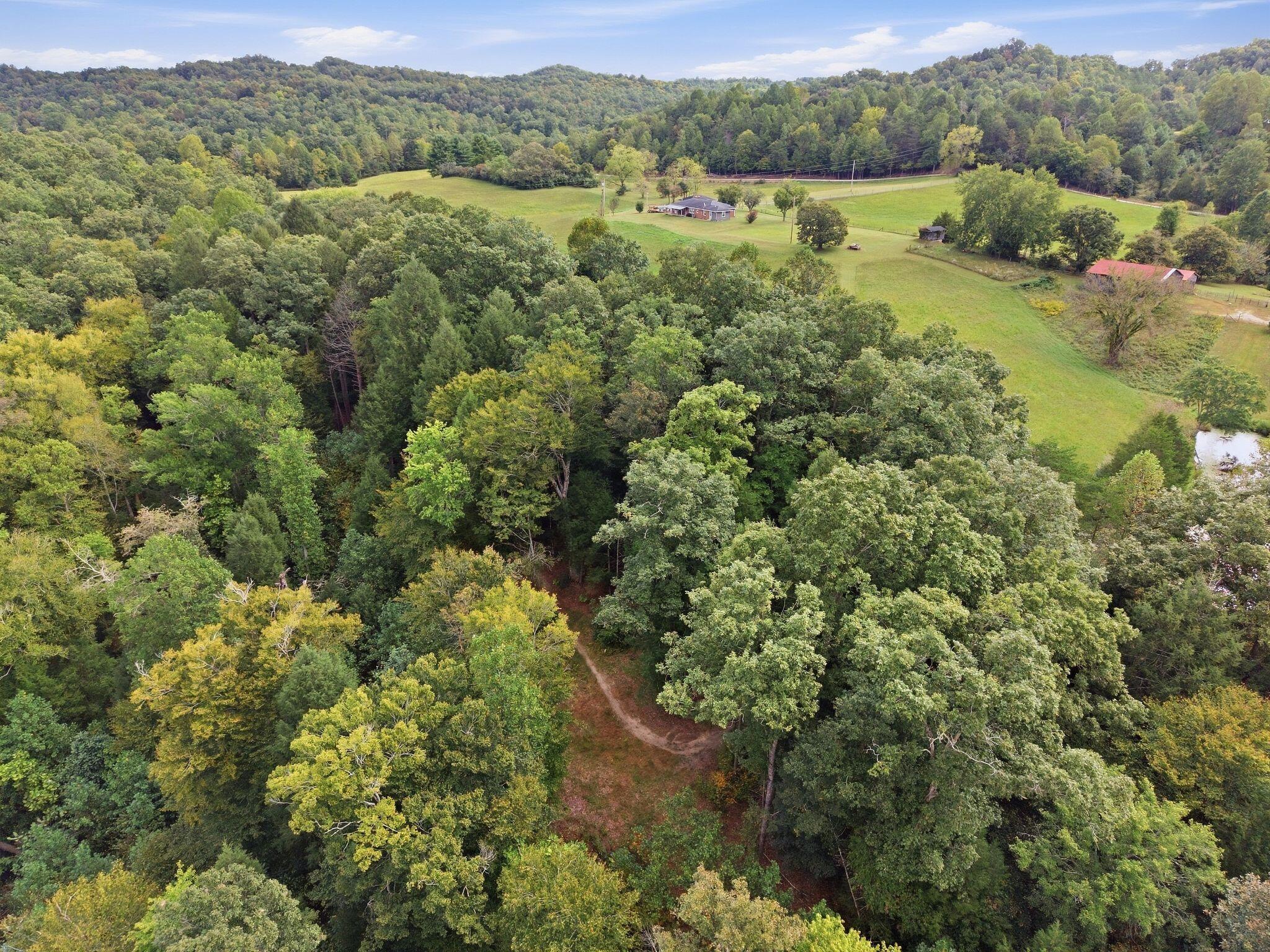 5049 Highway 2017 Property Photo 63