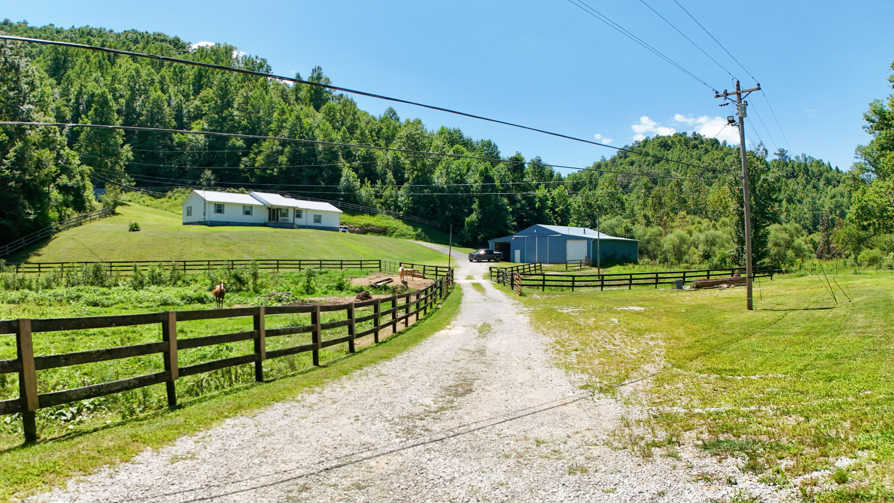 381 Hinkle Branch Road Property Photo 45