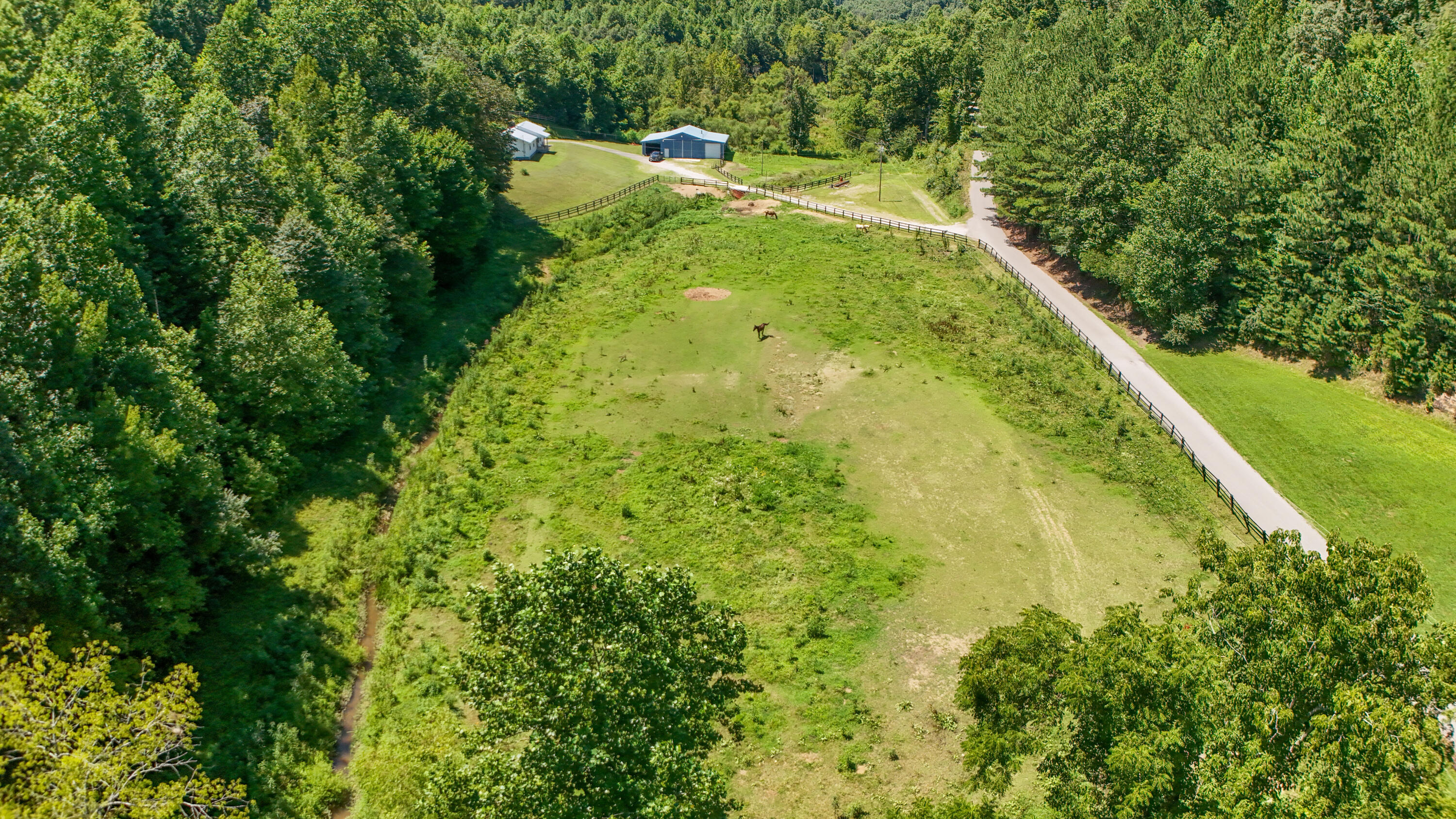 381 Hinkle Branch Road Property Photo 46