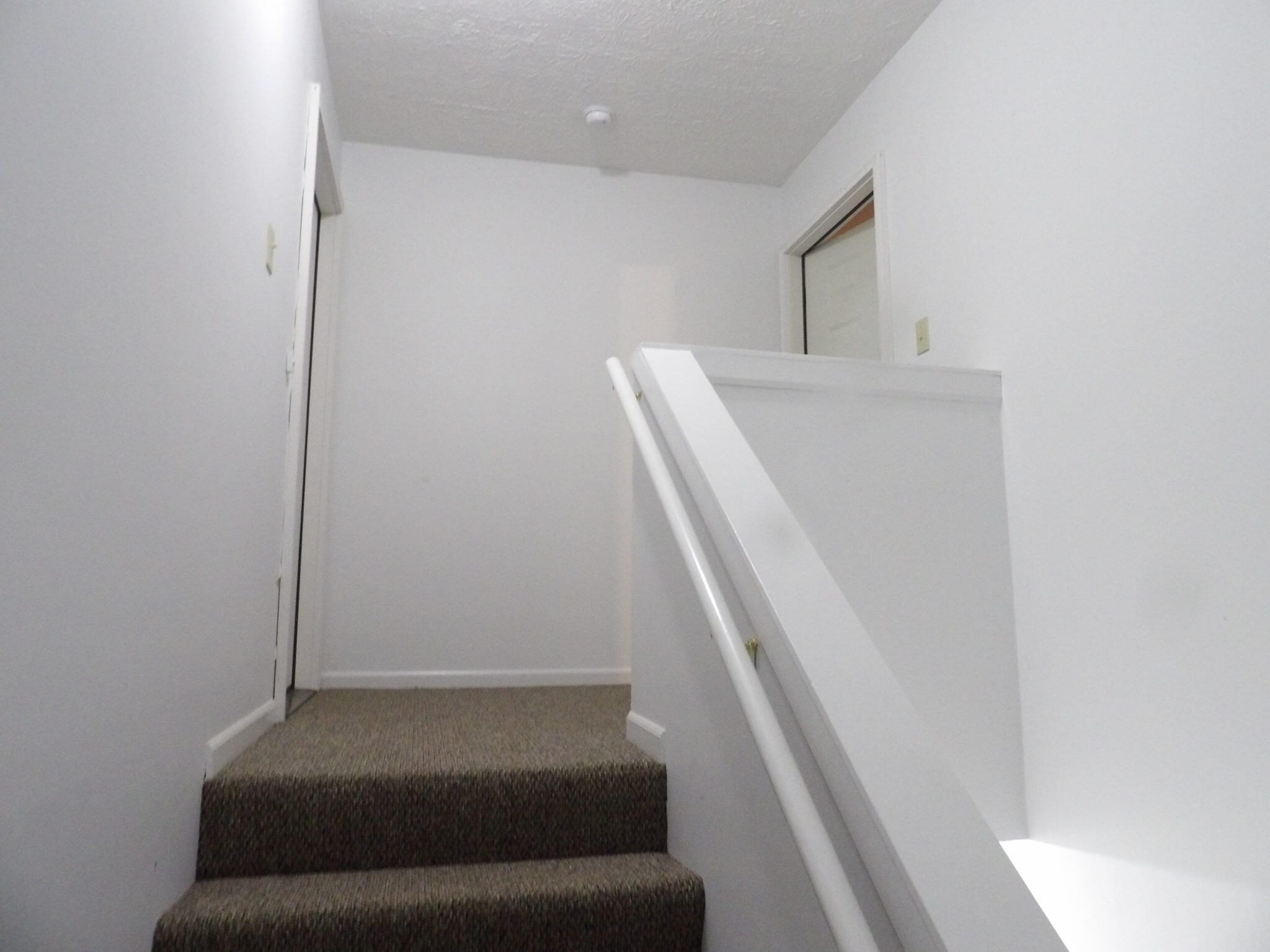 204 Landings Drive C Property Photo 6