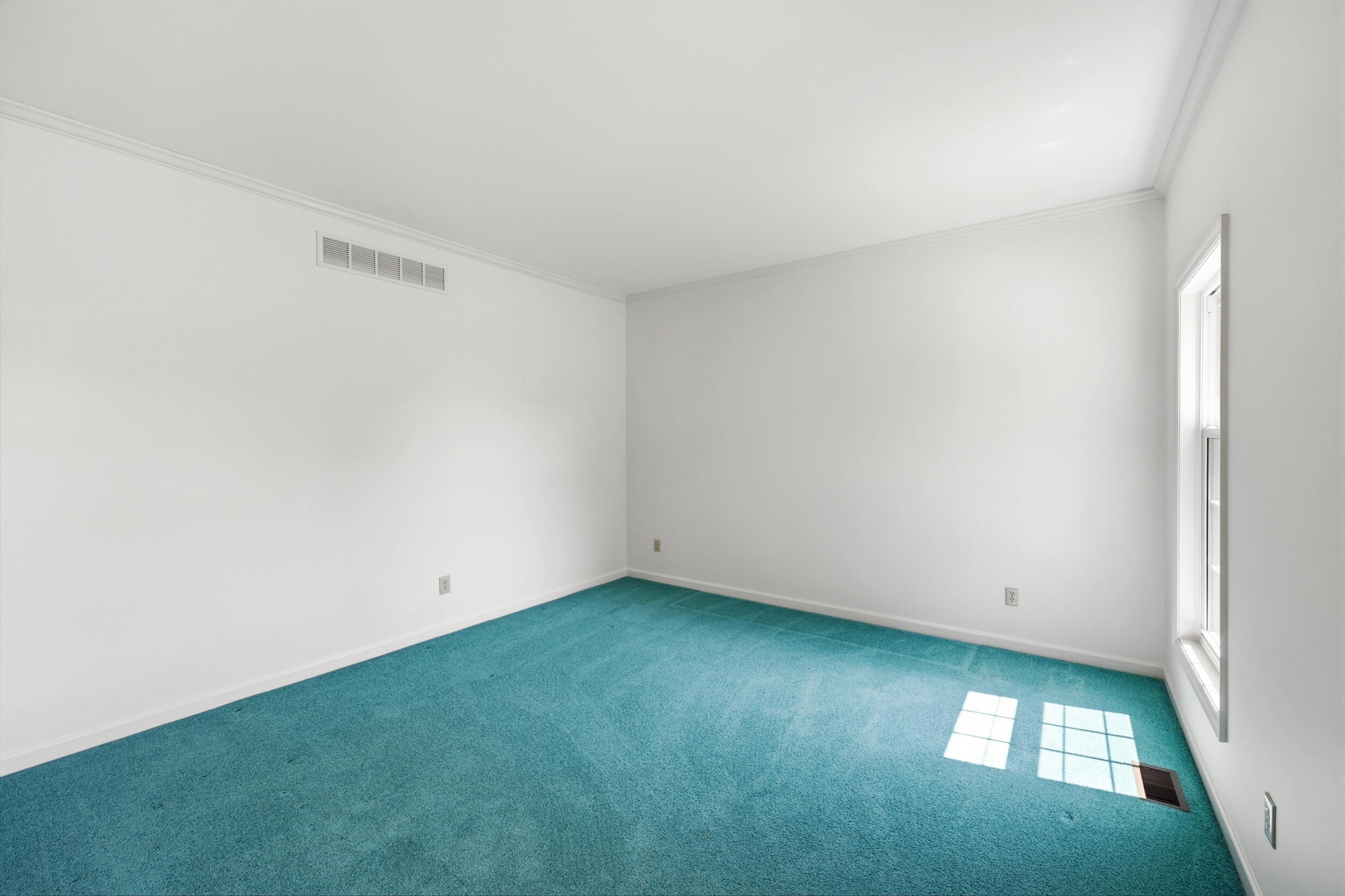 601 Delaney Woods Property Photo 7