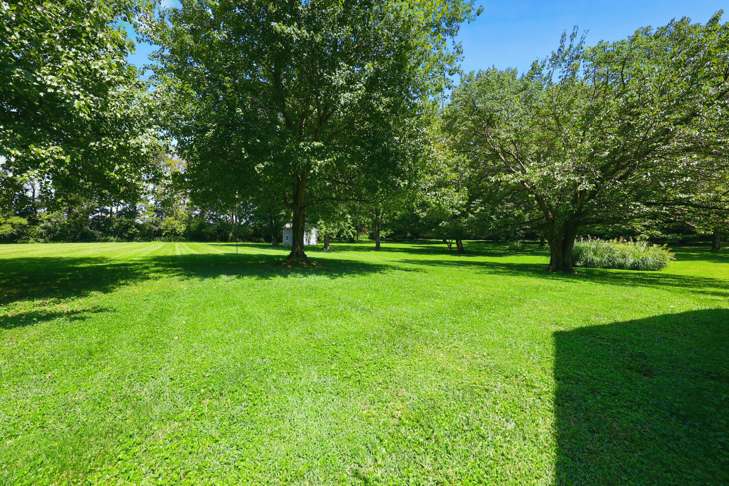 601 Delaney Woods Property Photo 41