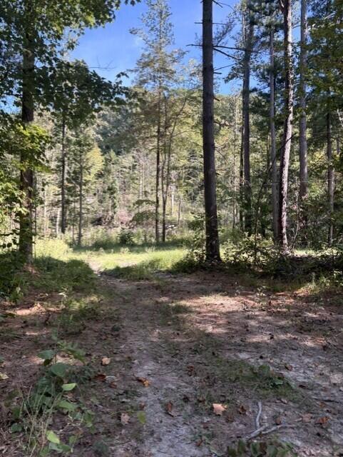 1819 Ky-698 Property Photo 3