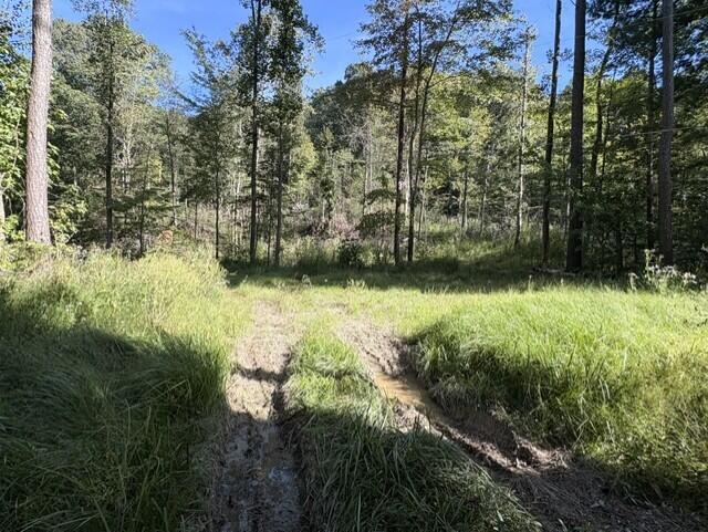 1819 Ky-698 Property Photo 4