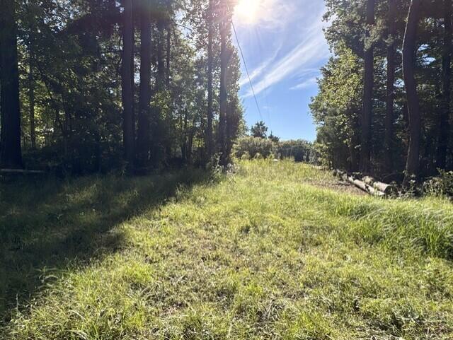 1819 Ky-698 Property Photo 6