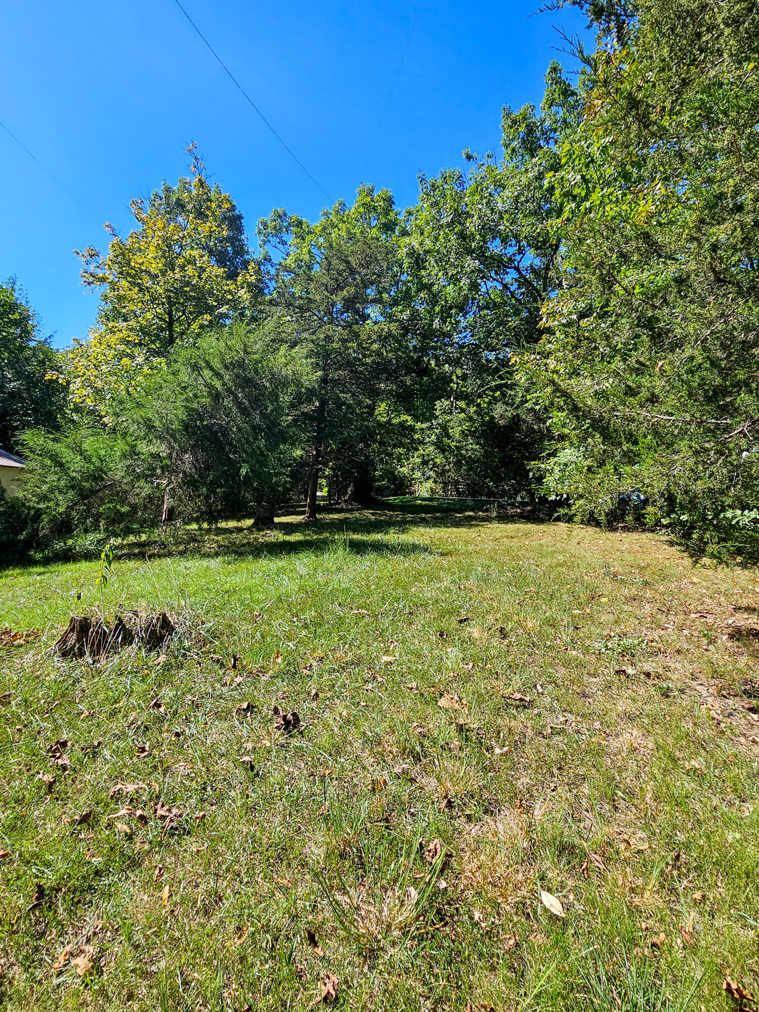 1960 Chestnut Grove Road Property Photo 21