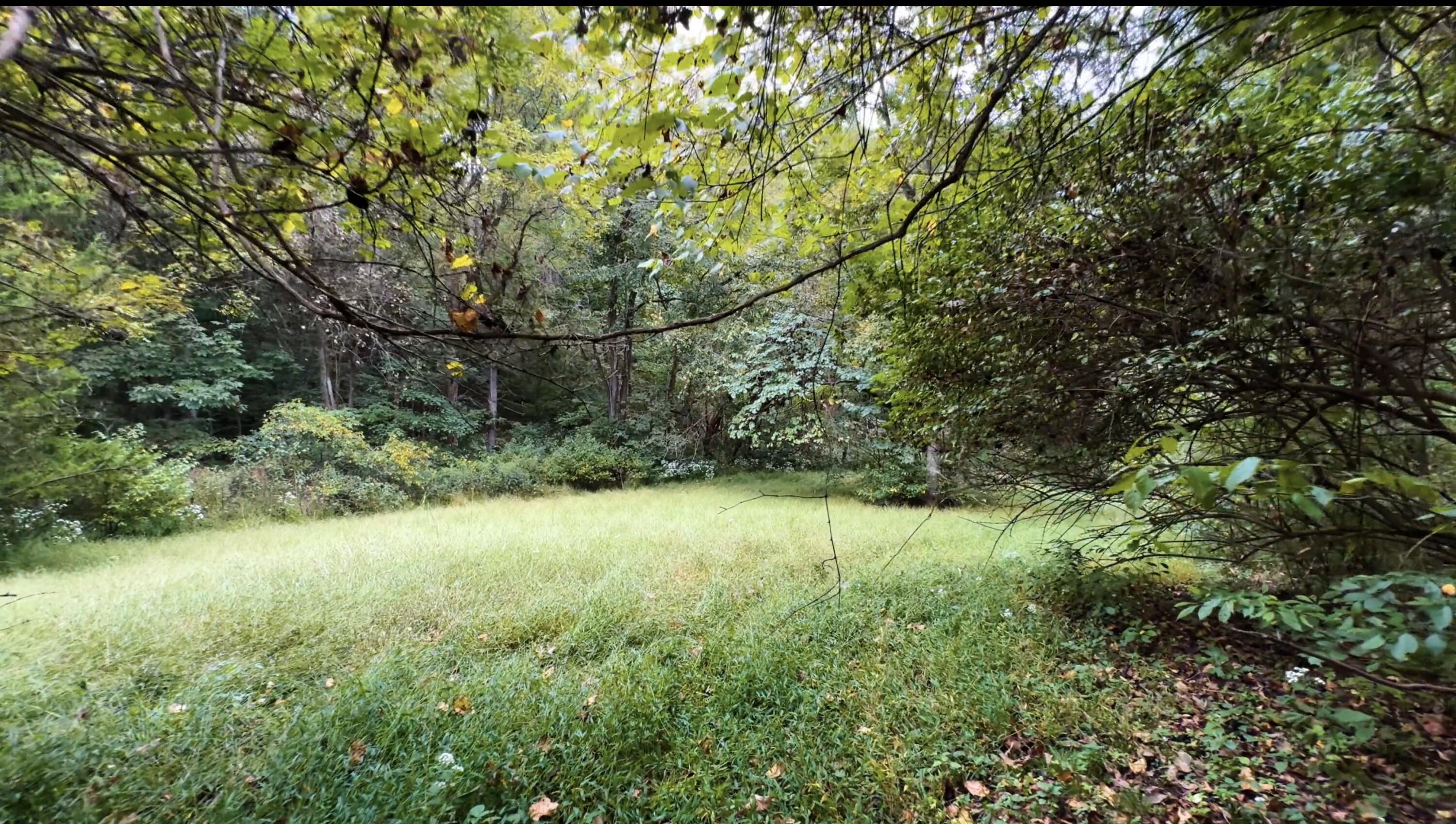 121 Forest Path Drive Property Photo 43