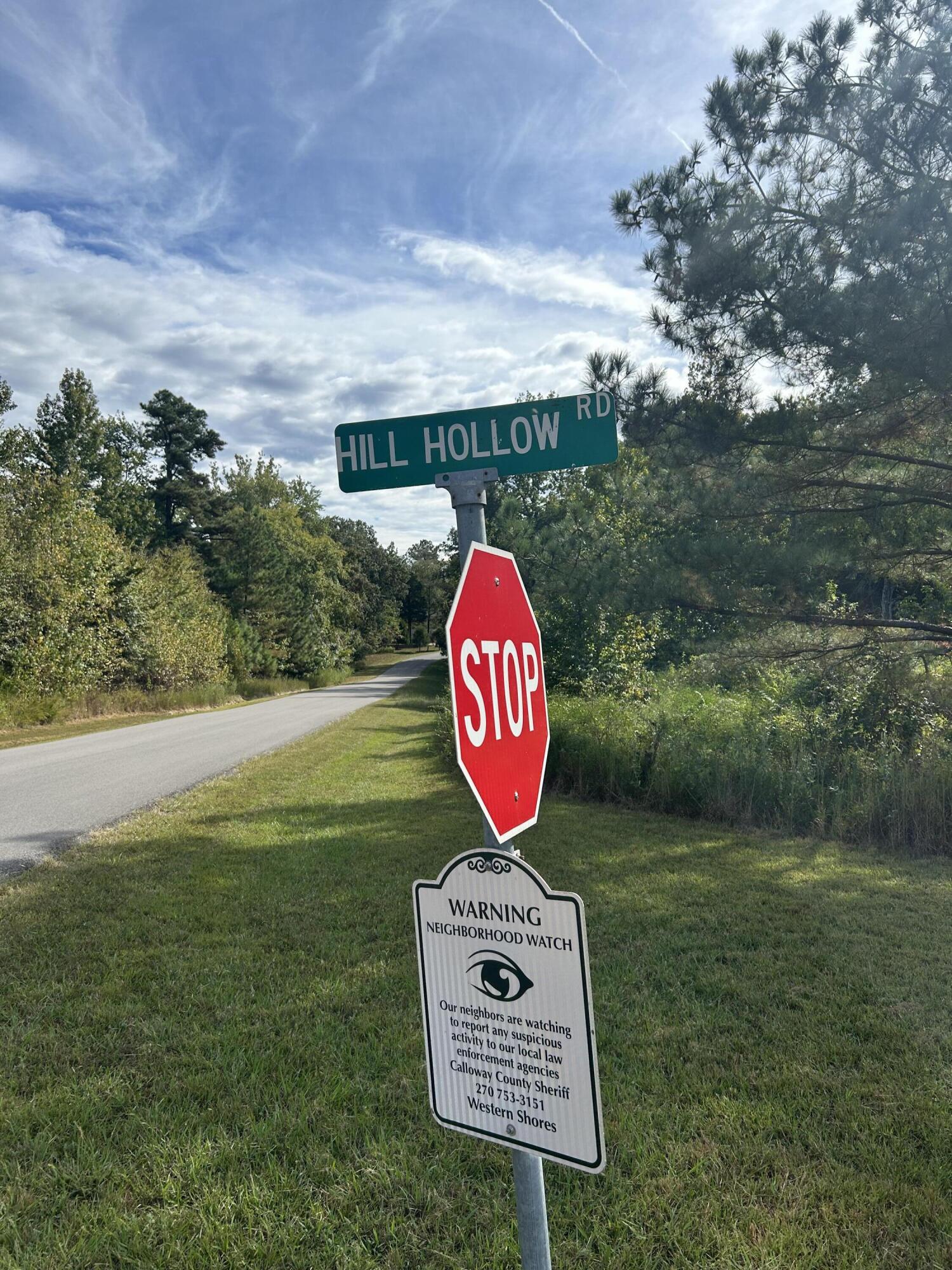 56 Hills Hollow Road Lot 56 Property Photo 2