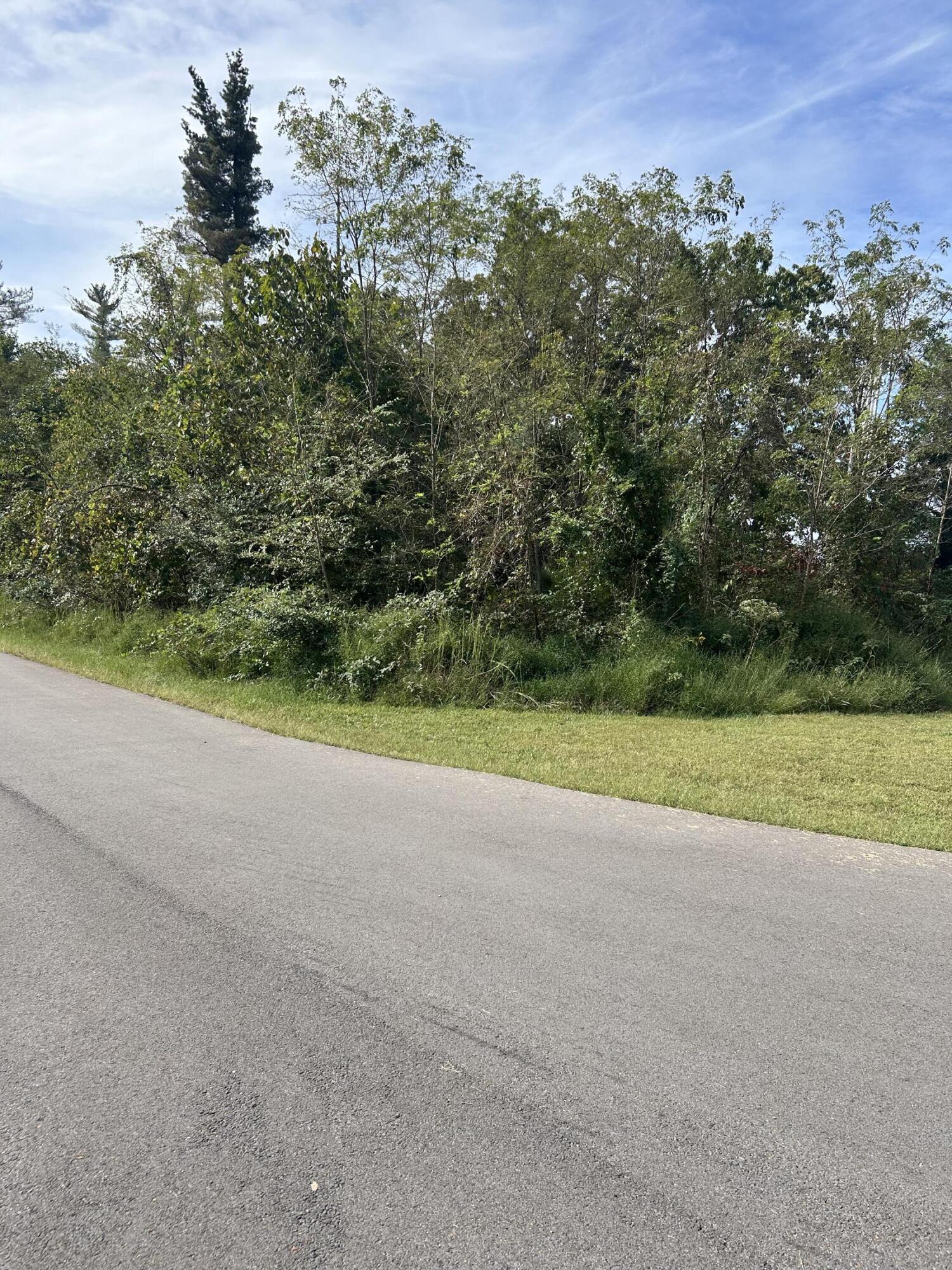 56 Hills Hollow Road Lot 56 Property Photo 3