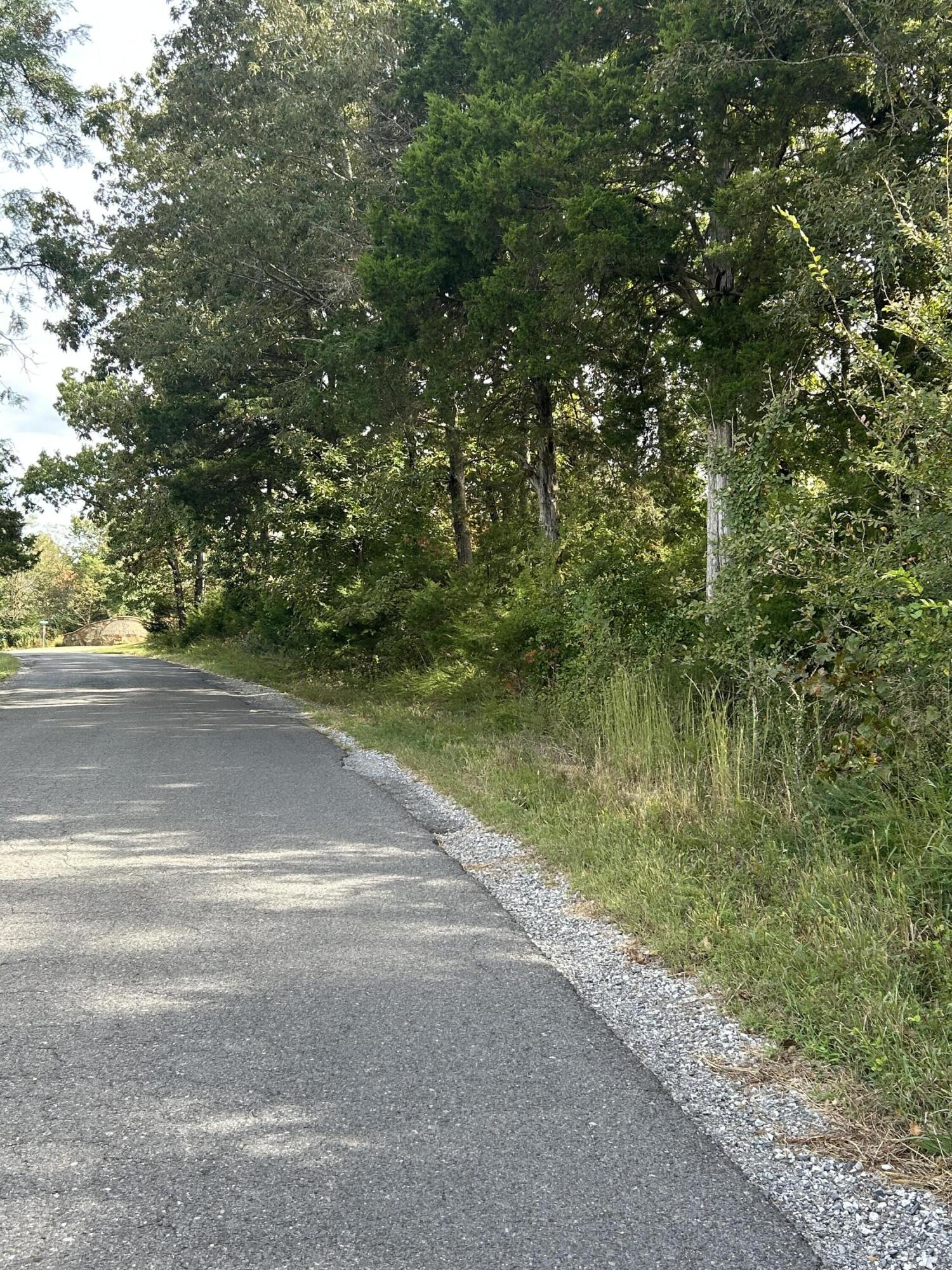 56 Hills Hollow Road Lot 56 Property Photo 4