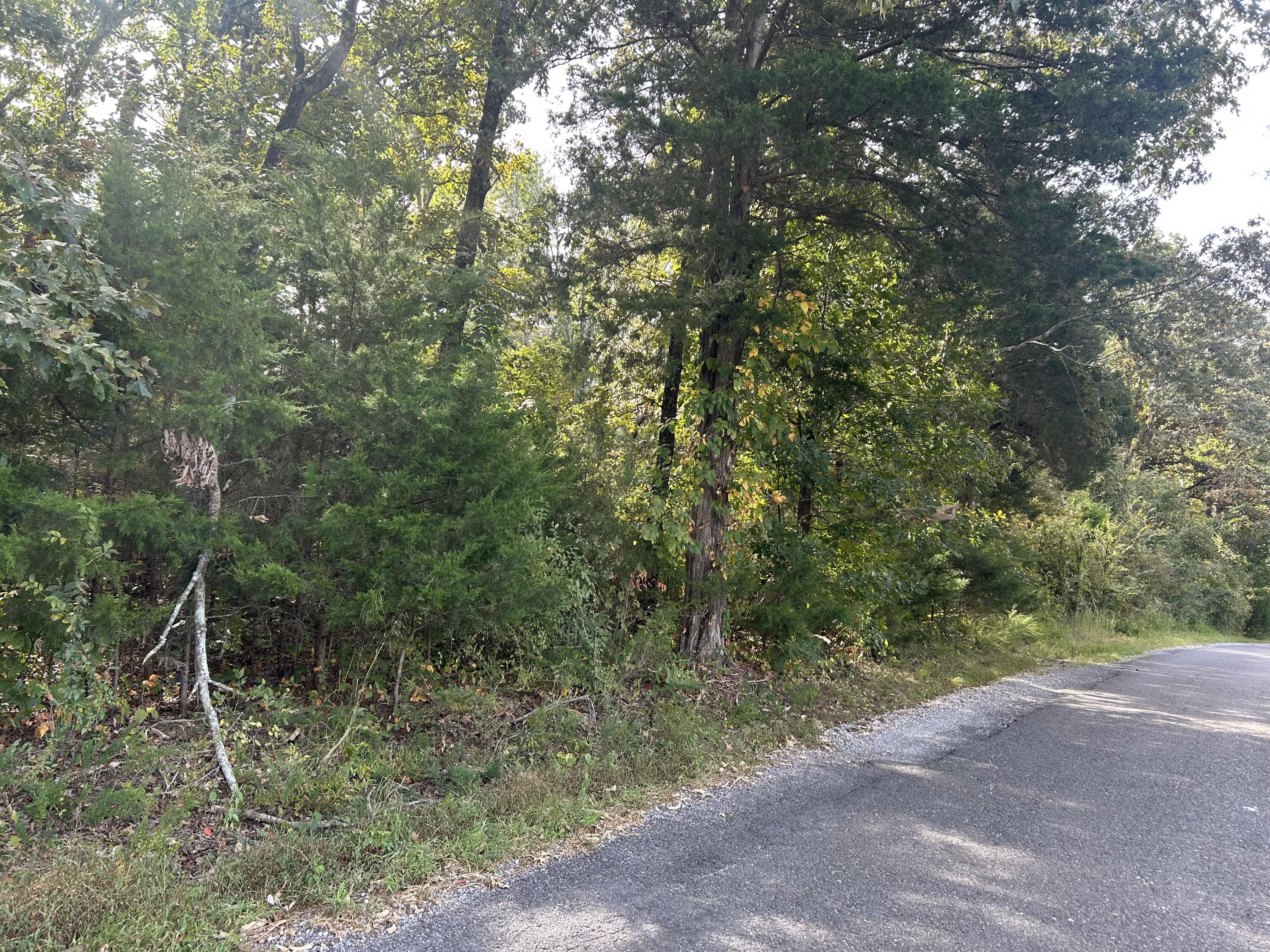 56 Hills Hollow Road Lot 56 Property Photo 5