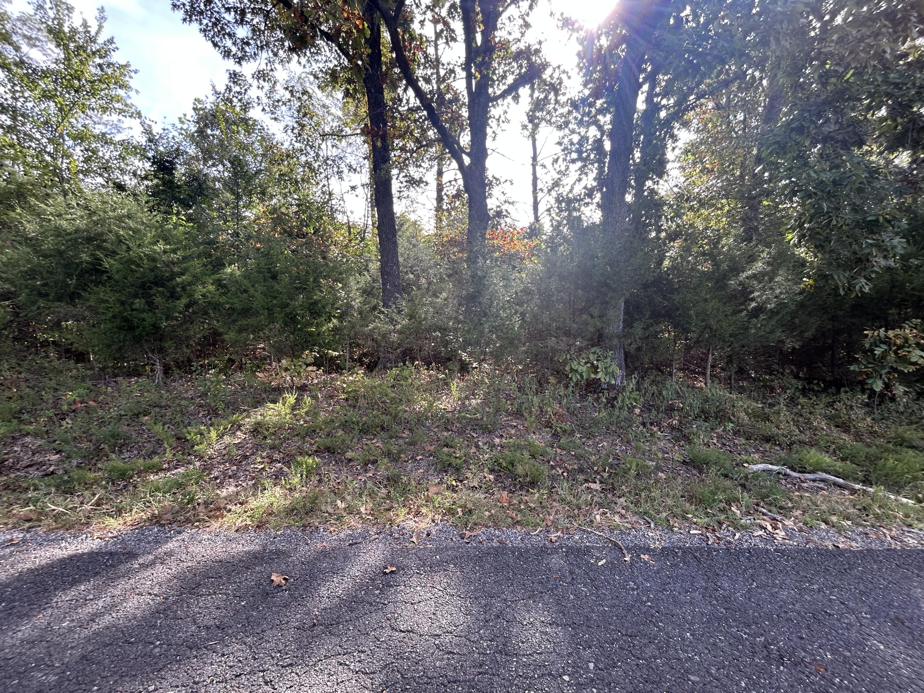 56 Hills Hollow Road Lot 56 Property Photo 6