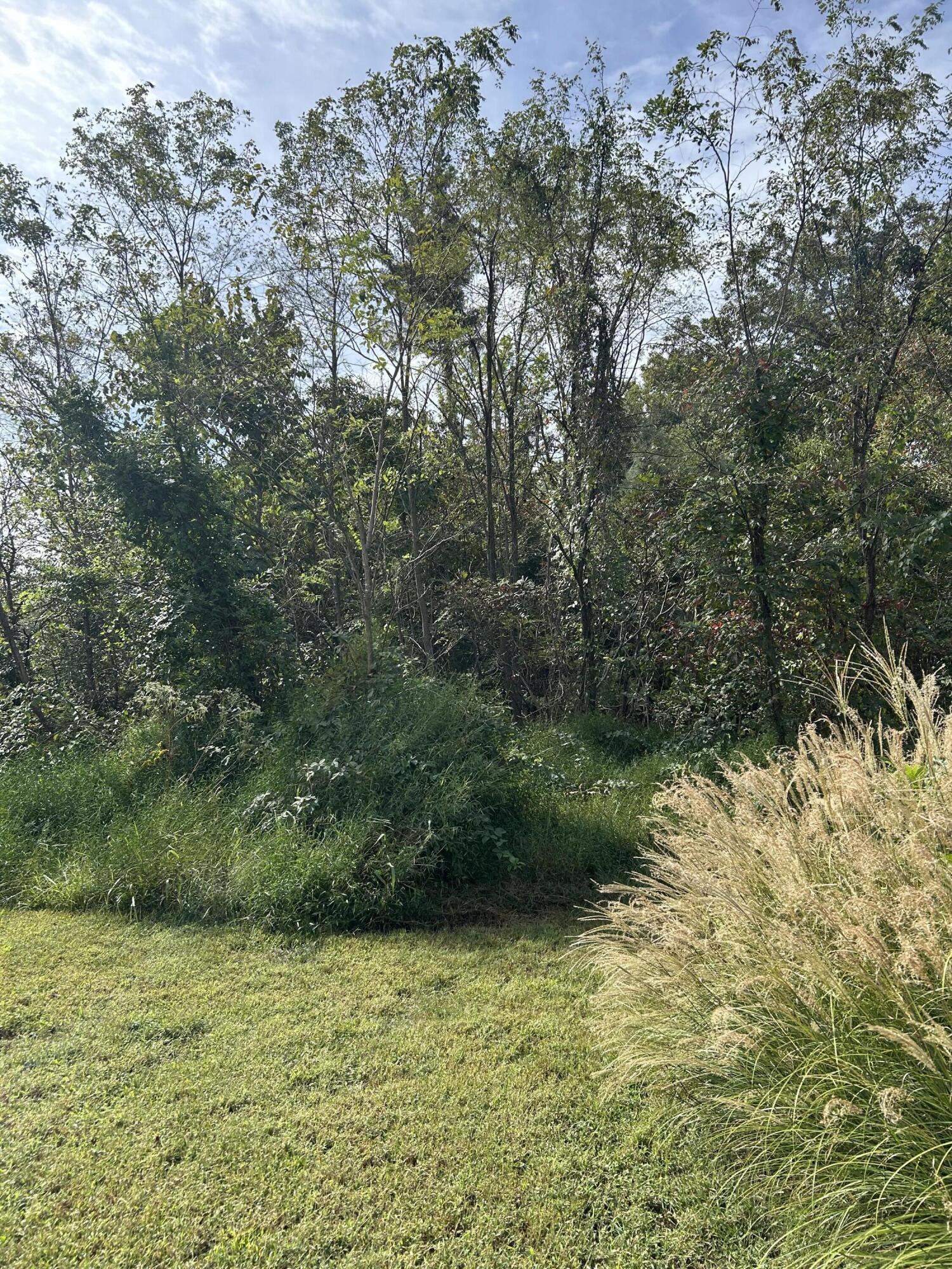 56 Hills Hollow Road Lot 56 Property Photo 9