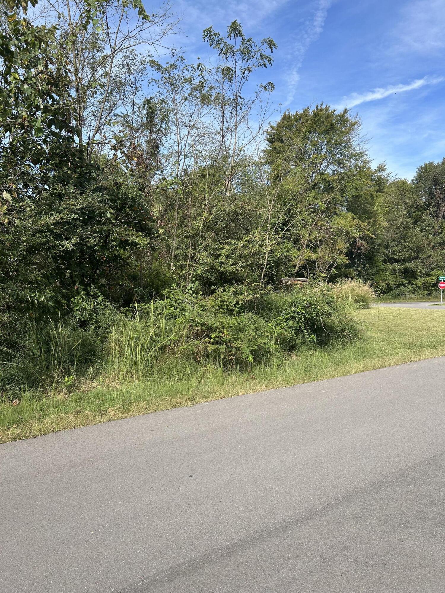56 Hills Hollow Road Lot 56 Property Photo 11