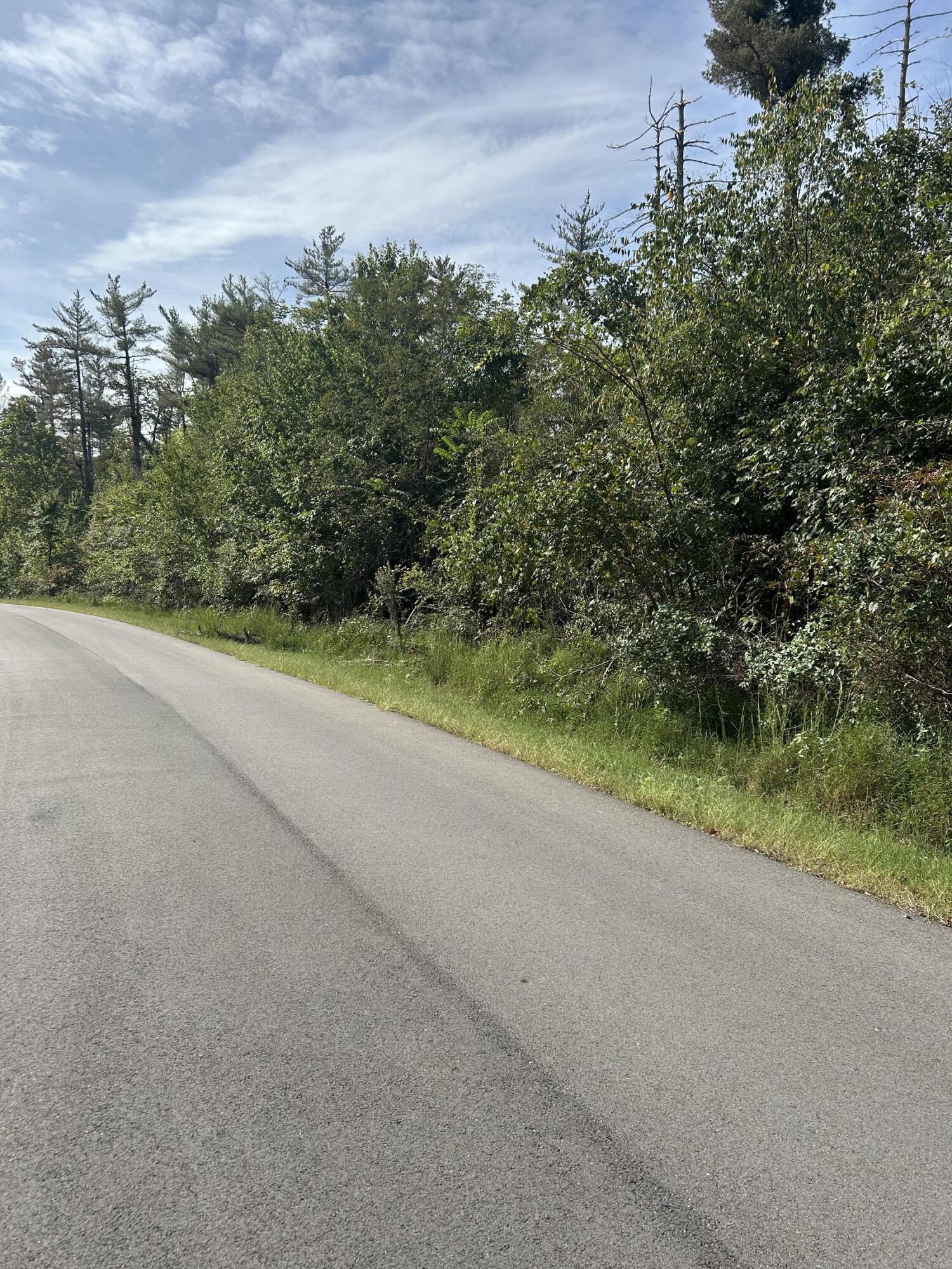 56 Hills Hollow Road Lot 56 Property Photo 12