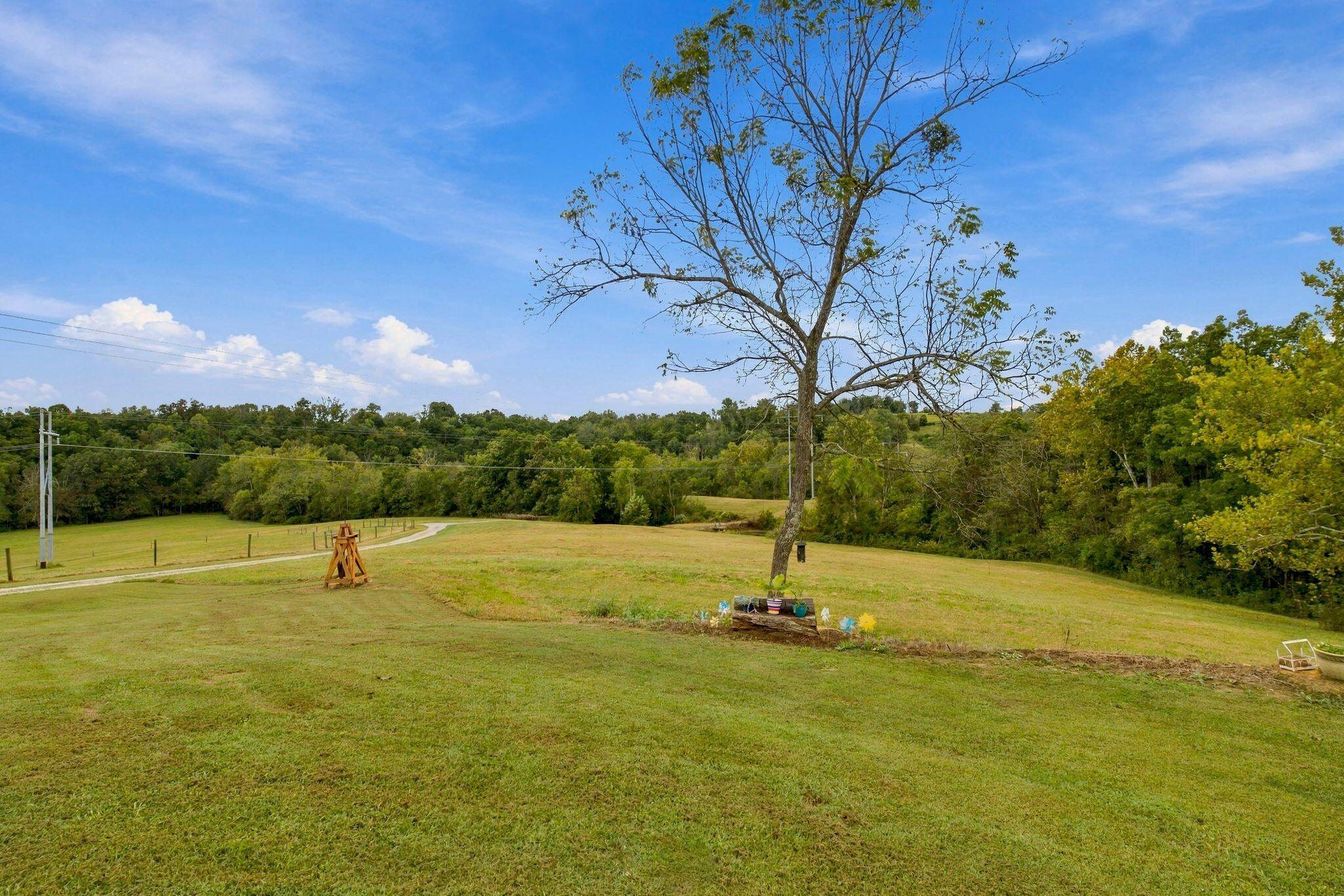 649 Joe Snedegar Road Property Photo 54