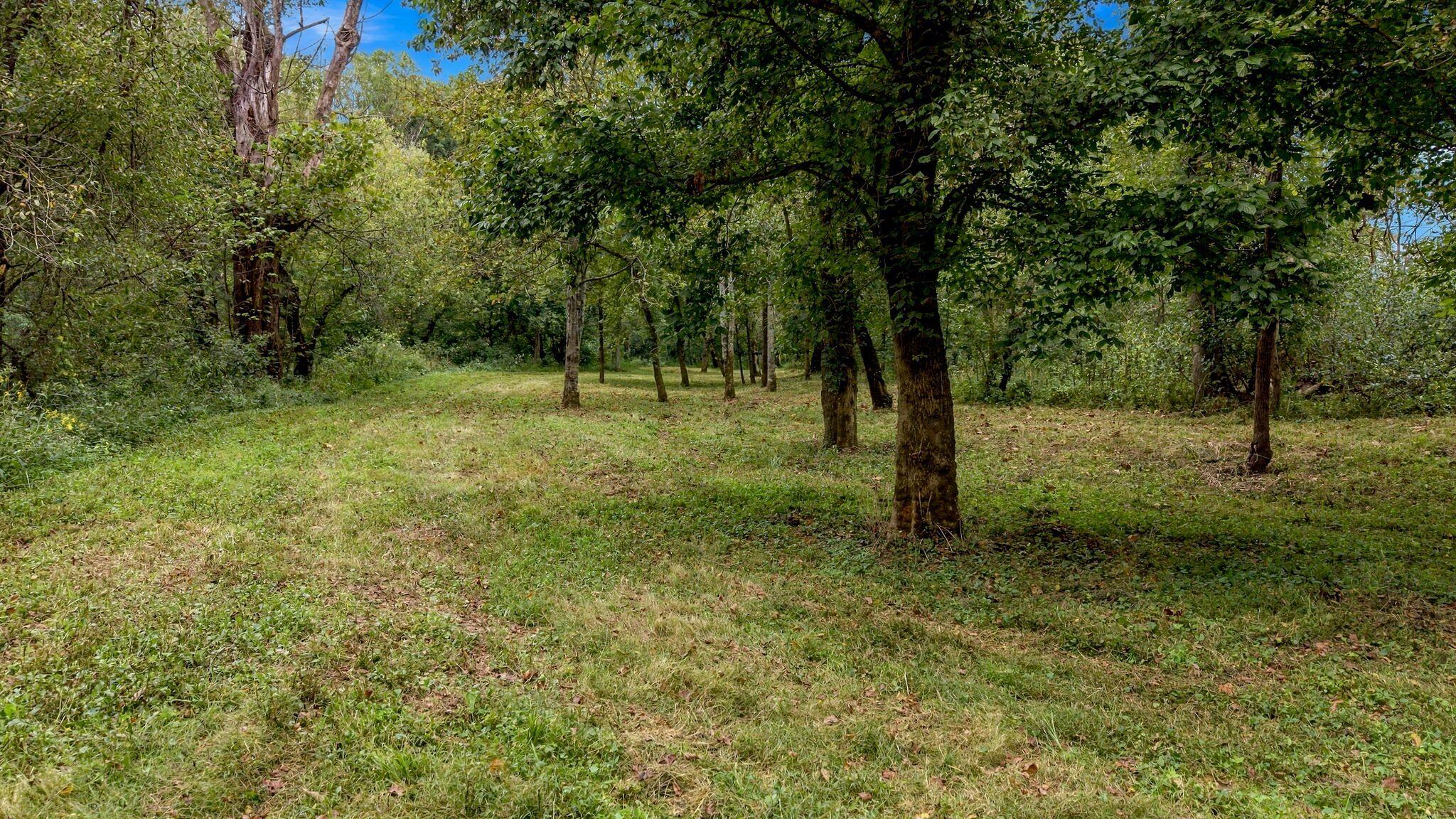 649 Joe Snedegar Road Property Photo 84