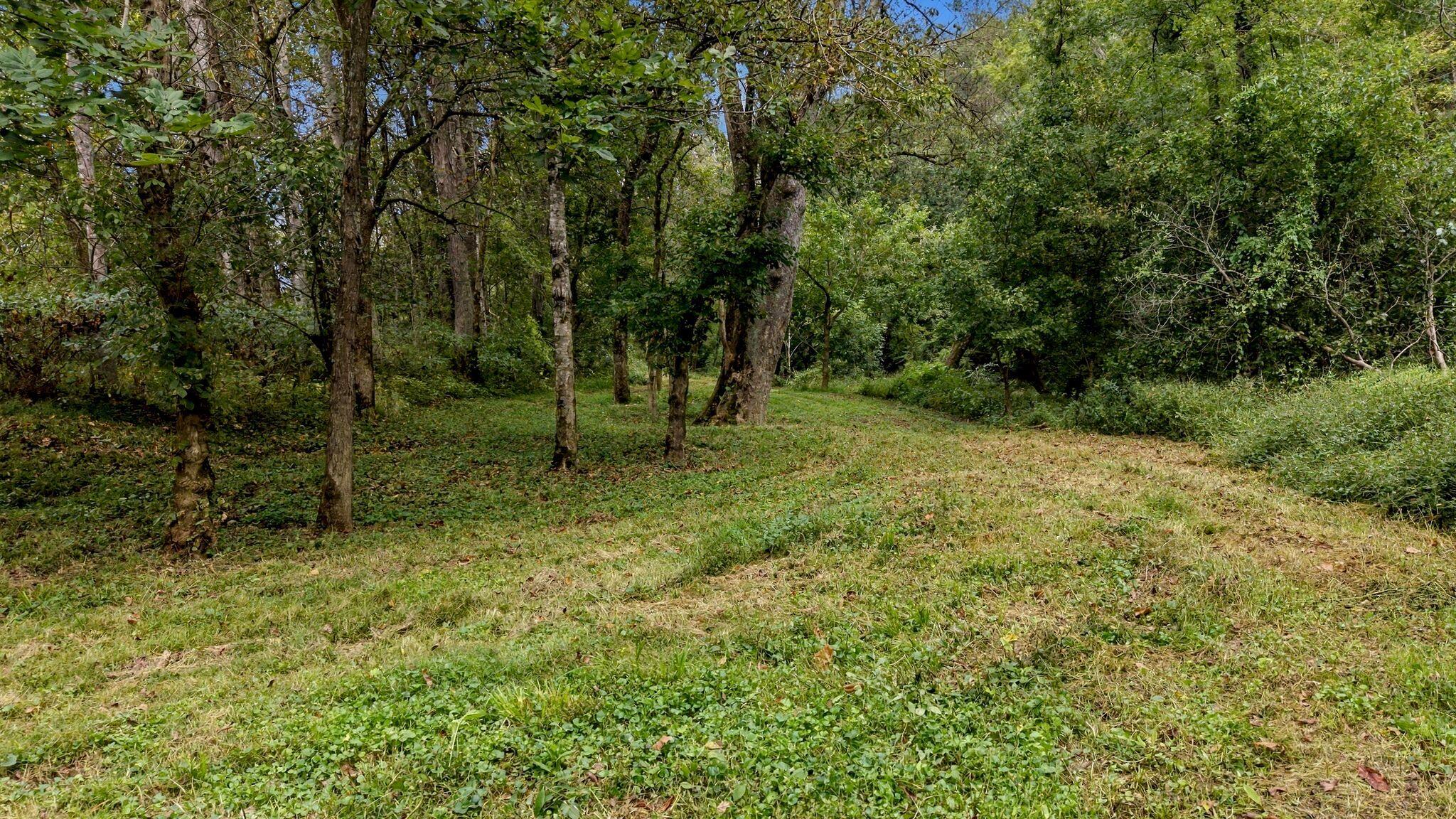 649 Joe Snedegar Road Property Photo 85