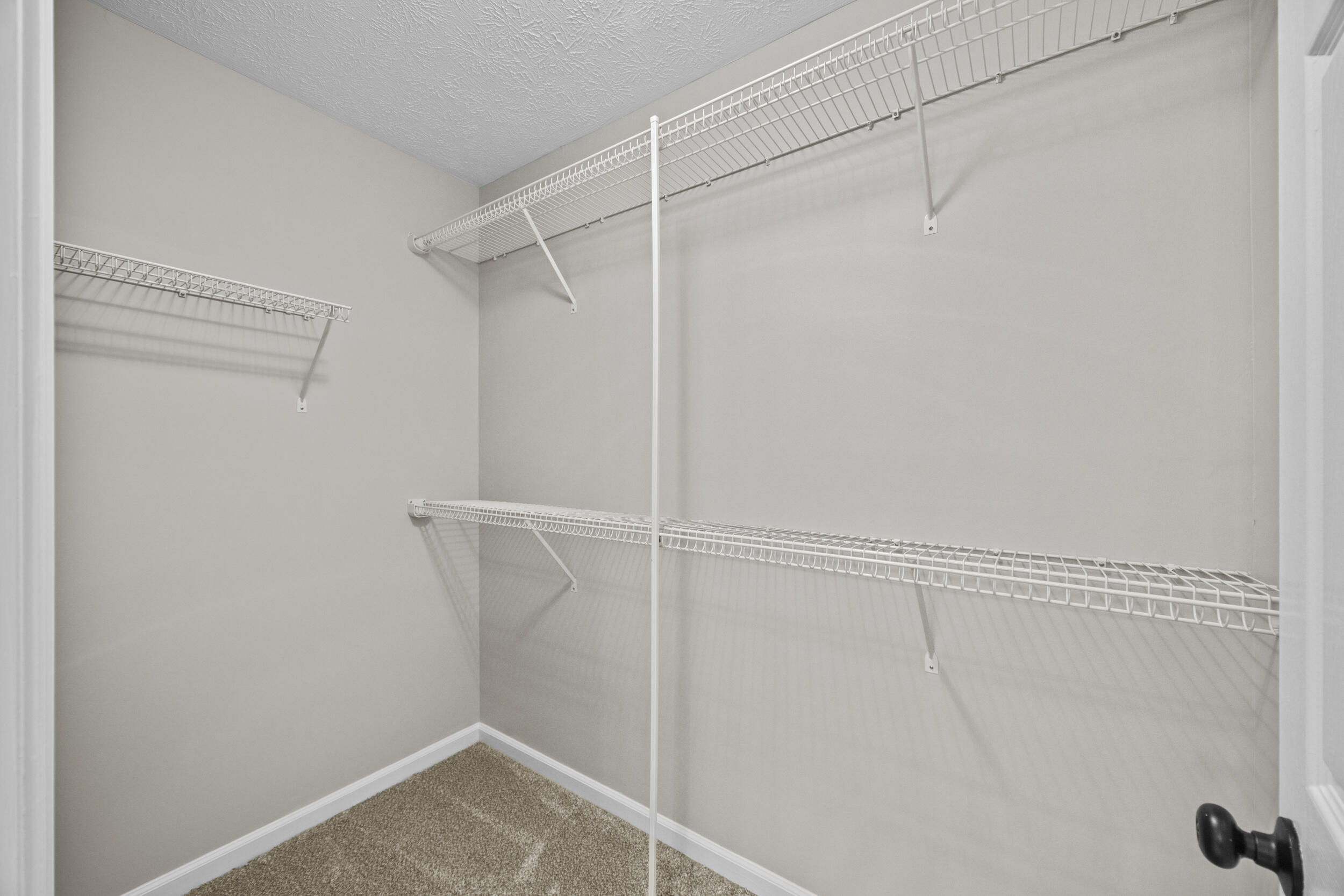 3785 White Pine Drive Property Photo 39