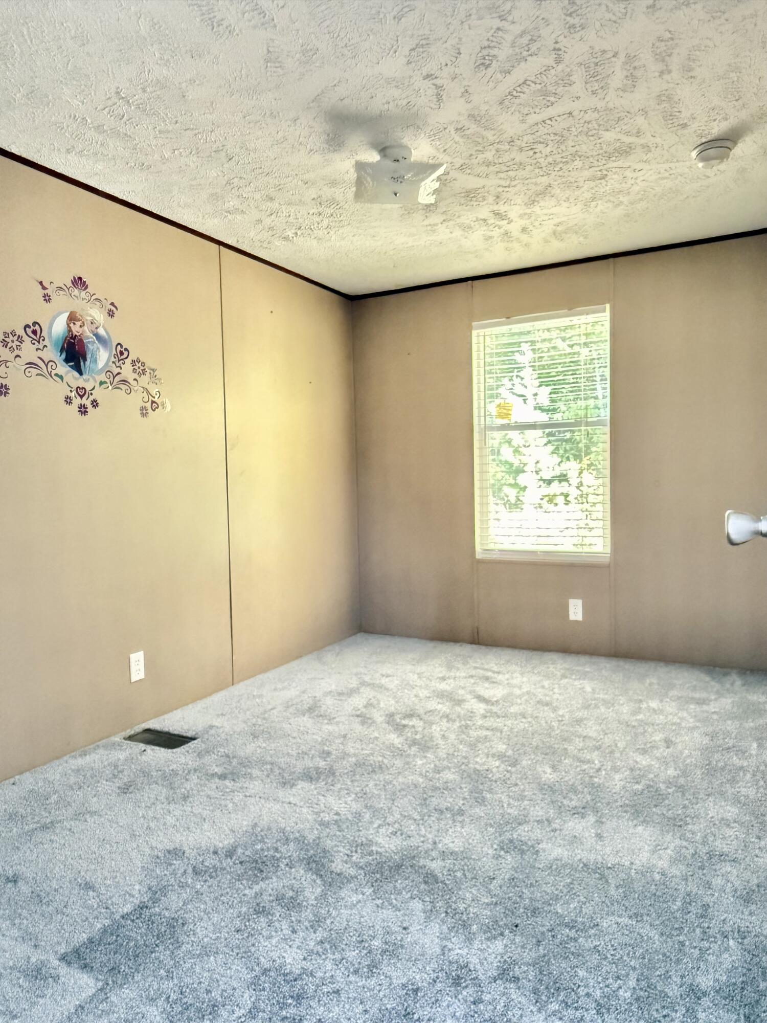 239 Howards Creek Road Property Photo 15
