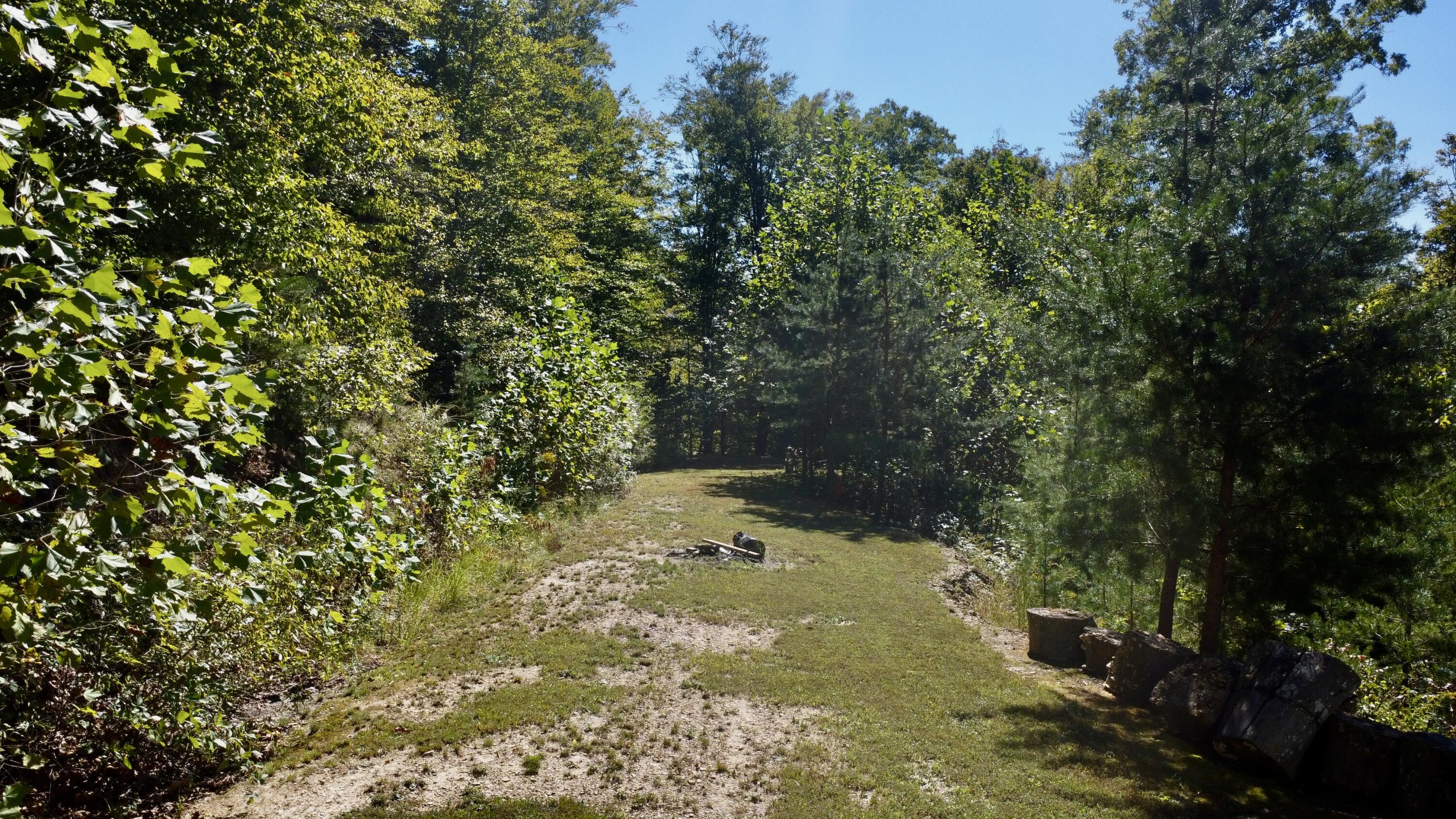 239 Howards Creek Road Property Photo 25