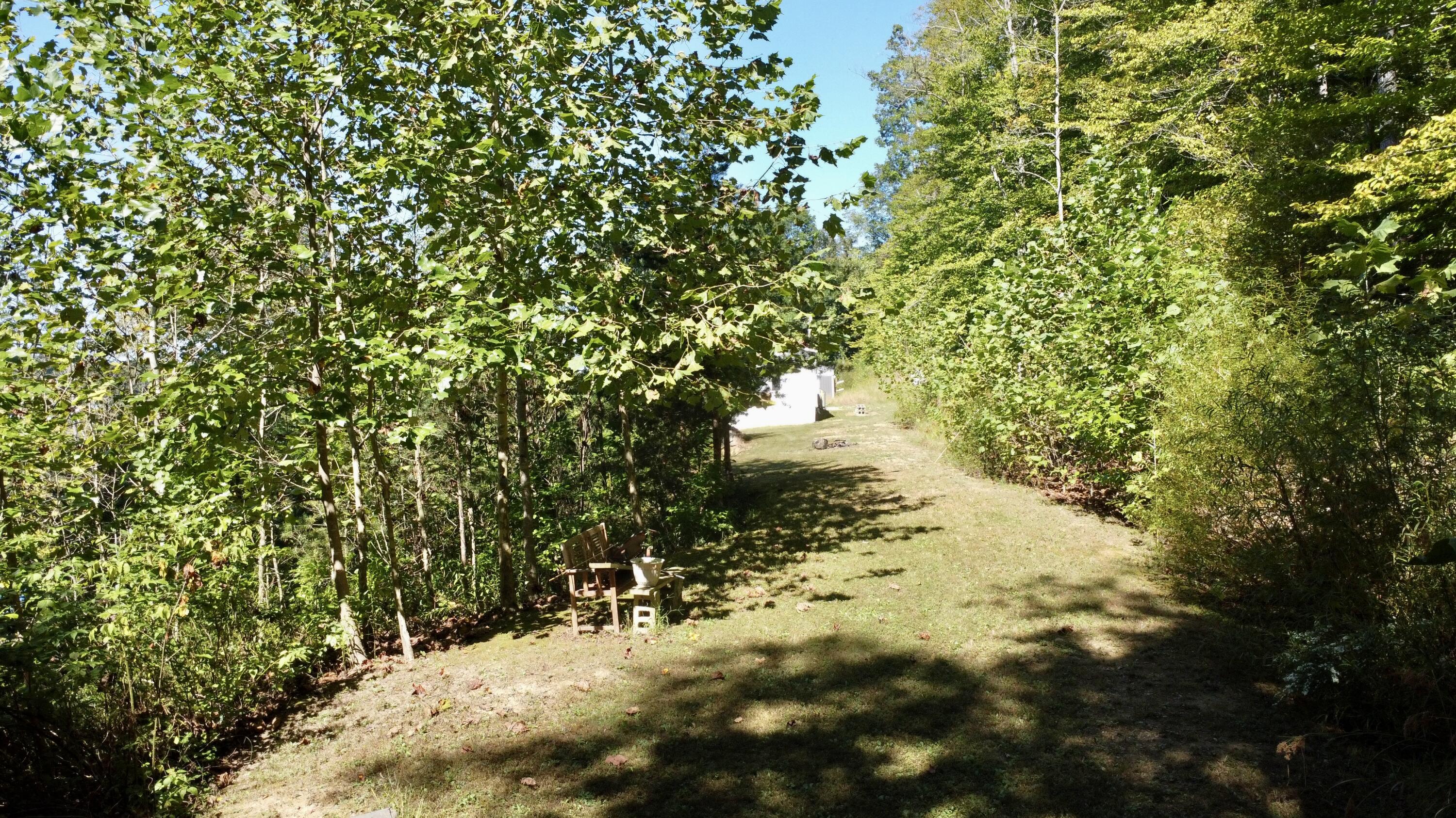 239 Howards Creek Road Property Photo 30