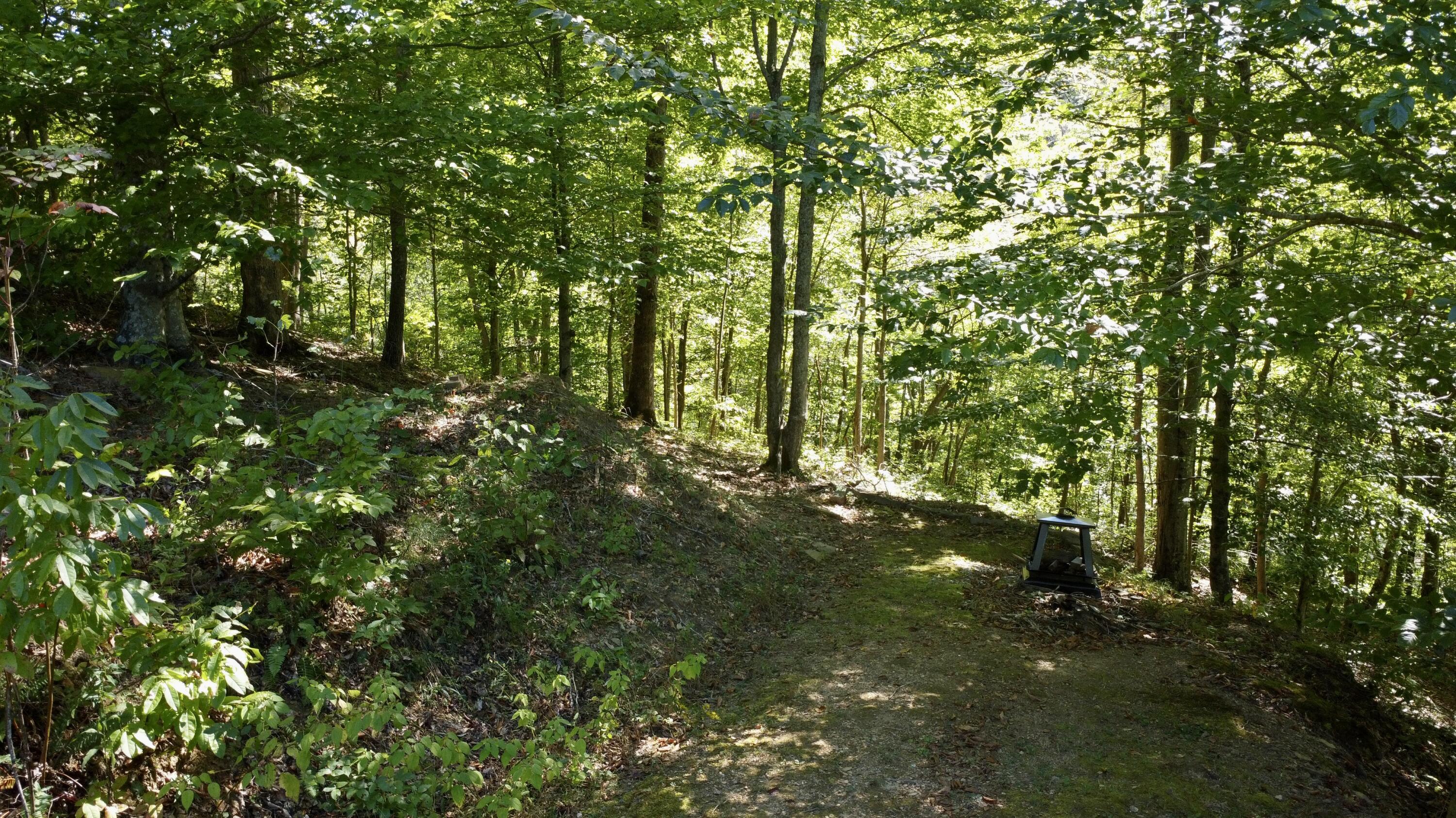 239 Howards Creek Road Property Photo 31