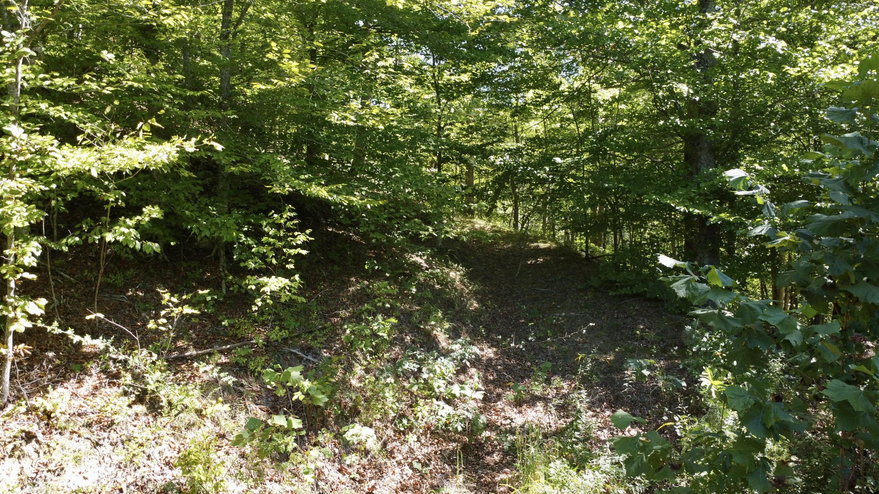 239 Howards Creek Road Property Photo 32