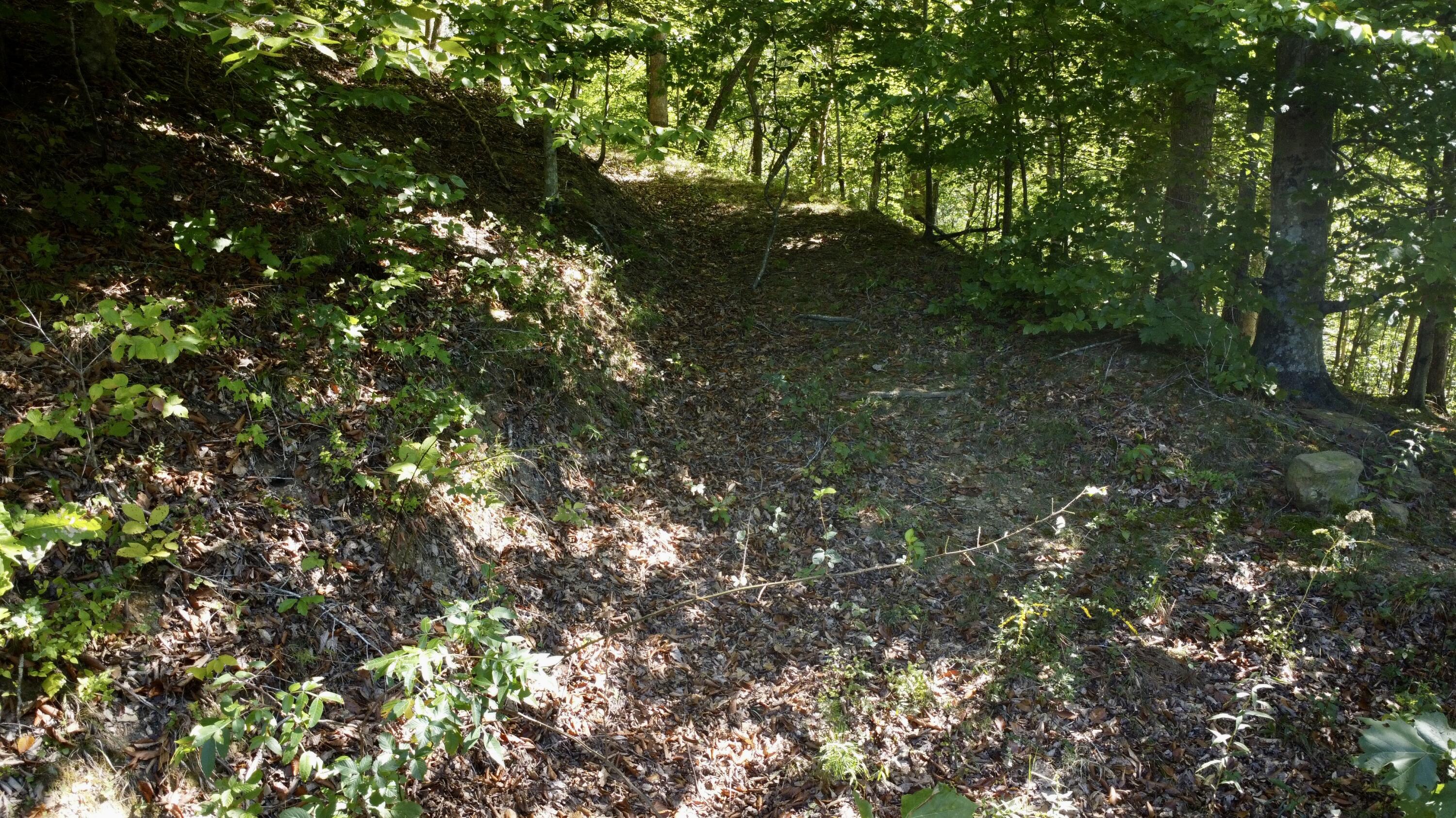 239 Howards Creek Road Property Photo 33