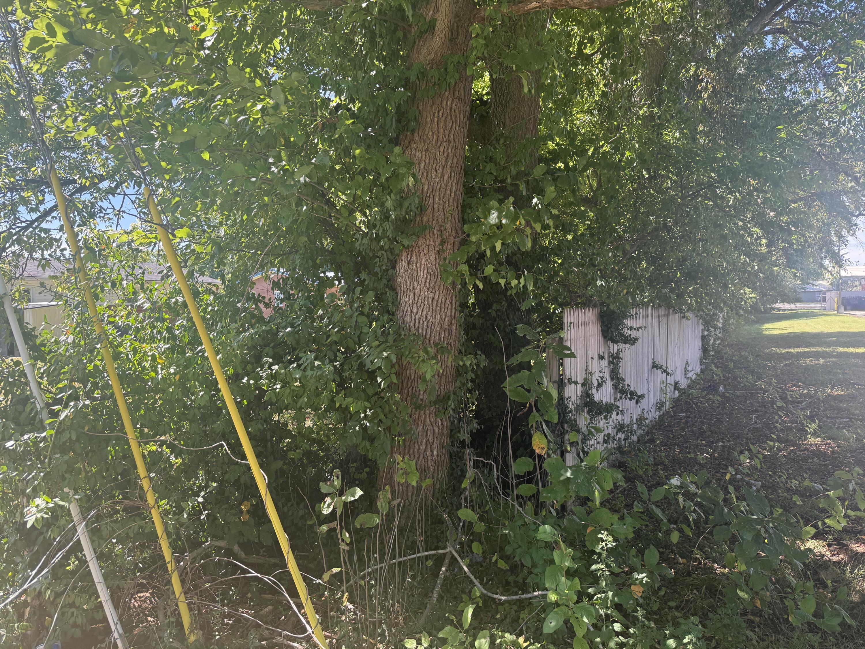112 Woodford Avenue Property Photo 5
