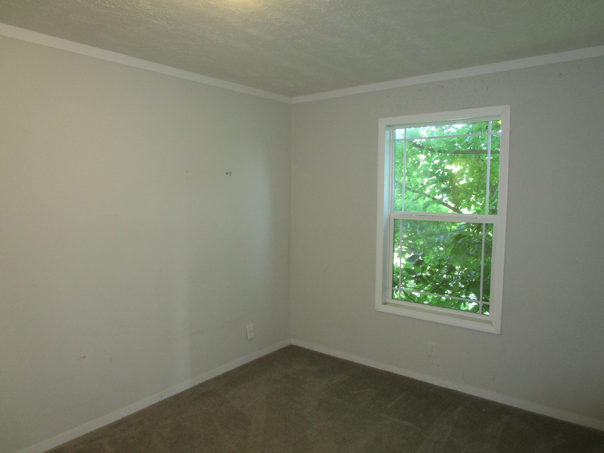 1136 Patrick Road Property Photo 20