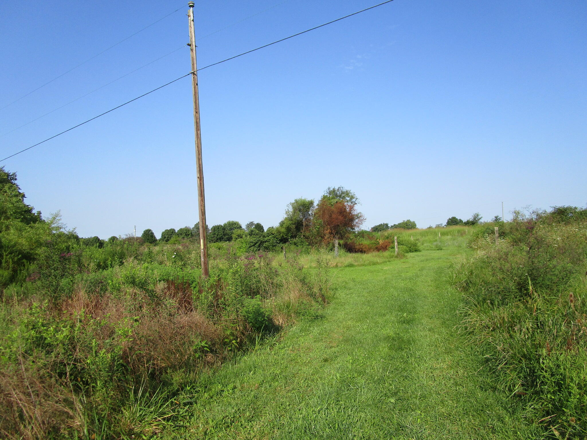 1136 Patrick Road Property Photo 34