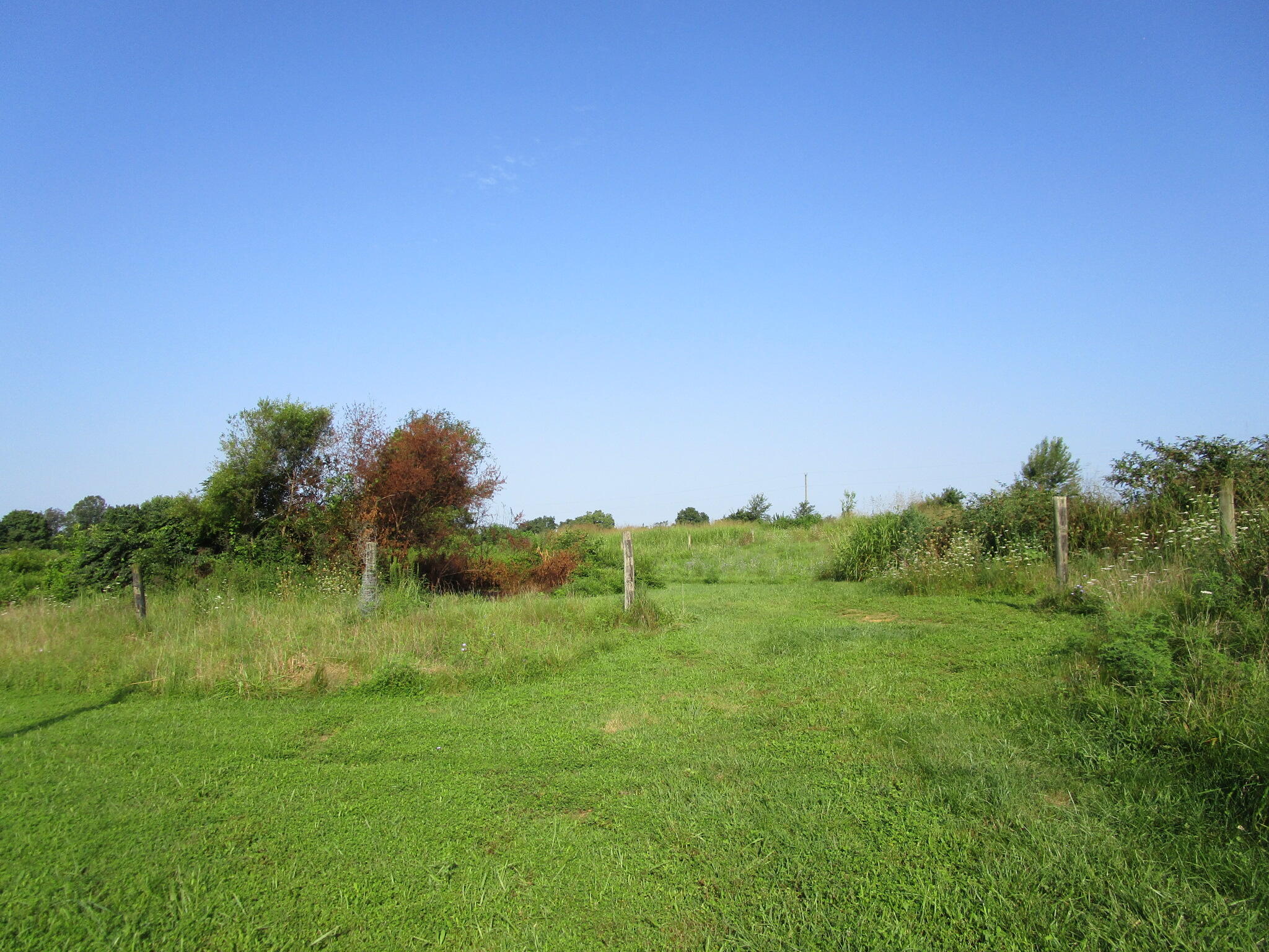 1136 Patrick Road Property Photo 35